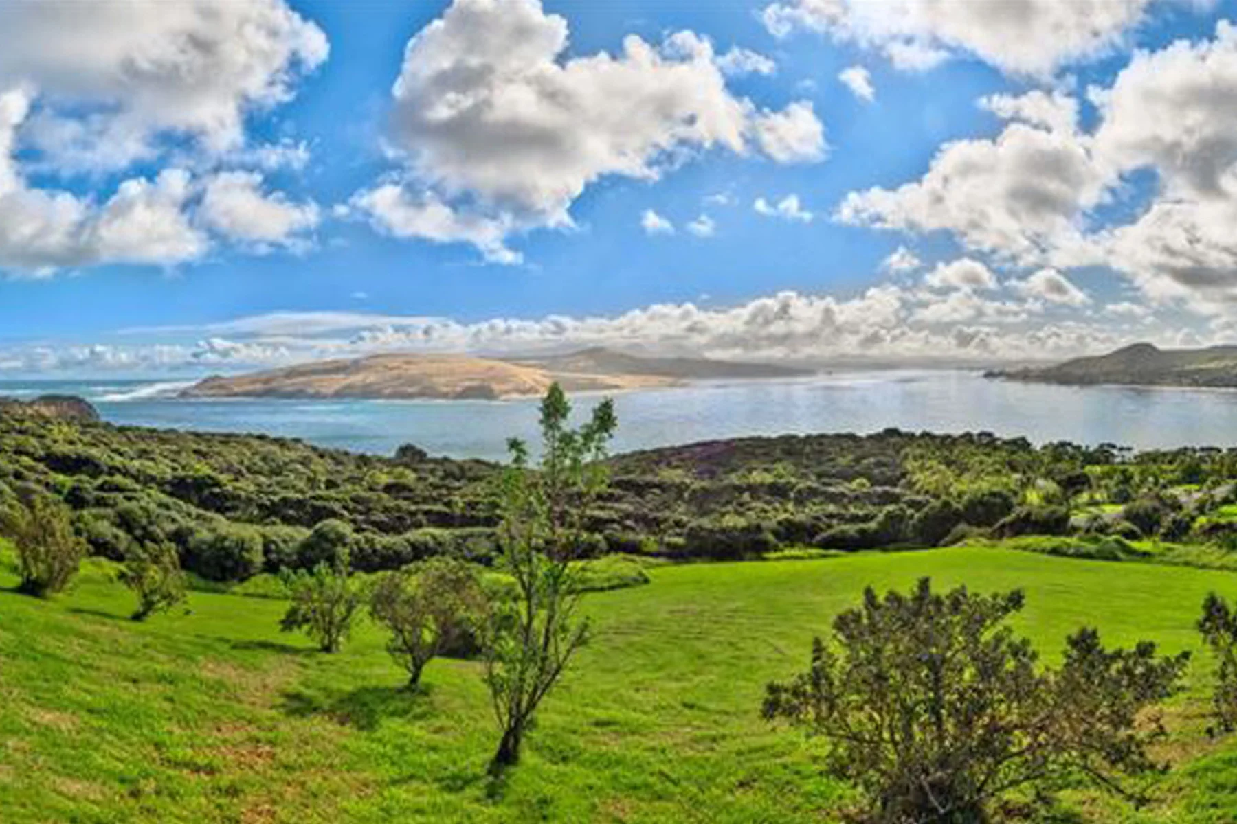 NEW_0017_omapere harbour.jpg