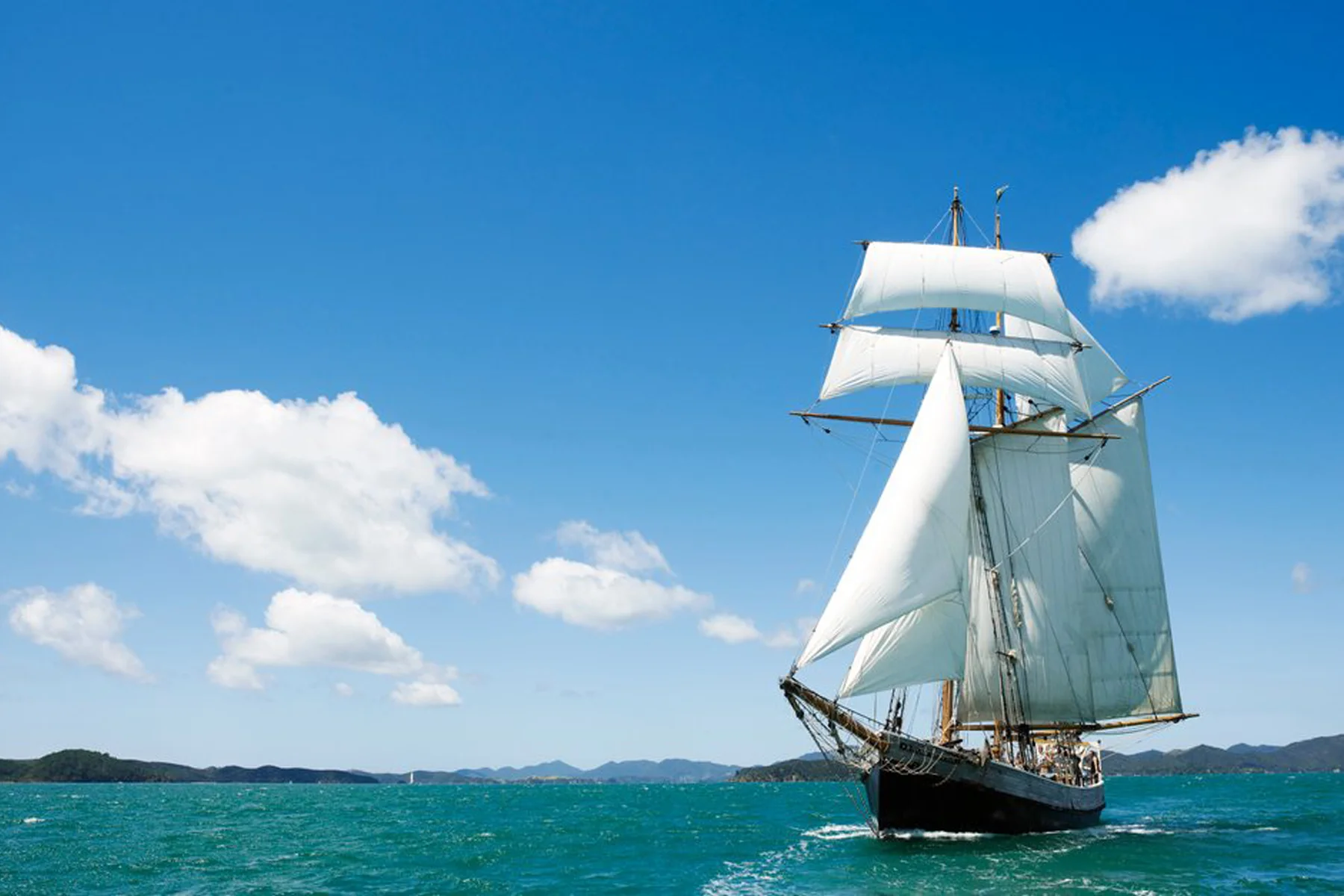 NEW_0025_r tucker thimpson.jpg