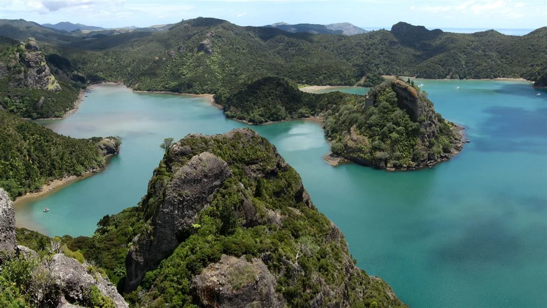 whangaroa-hero.jpg