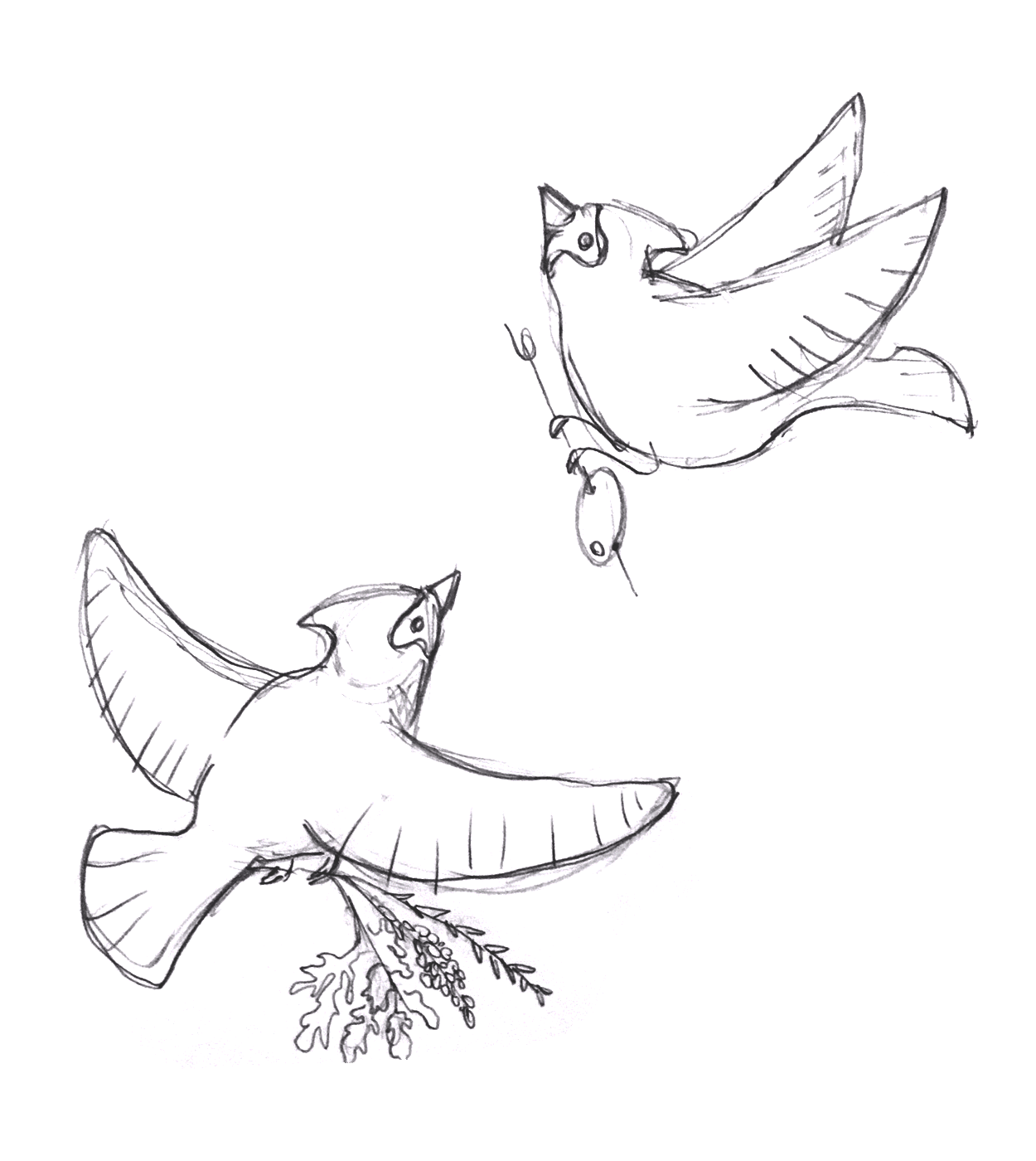 bittersweet-gin-flights-cardinals-sketch.png