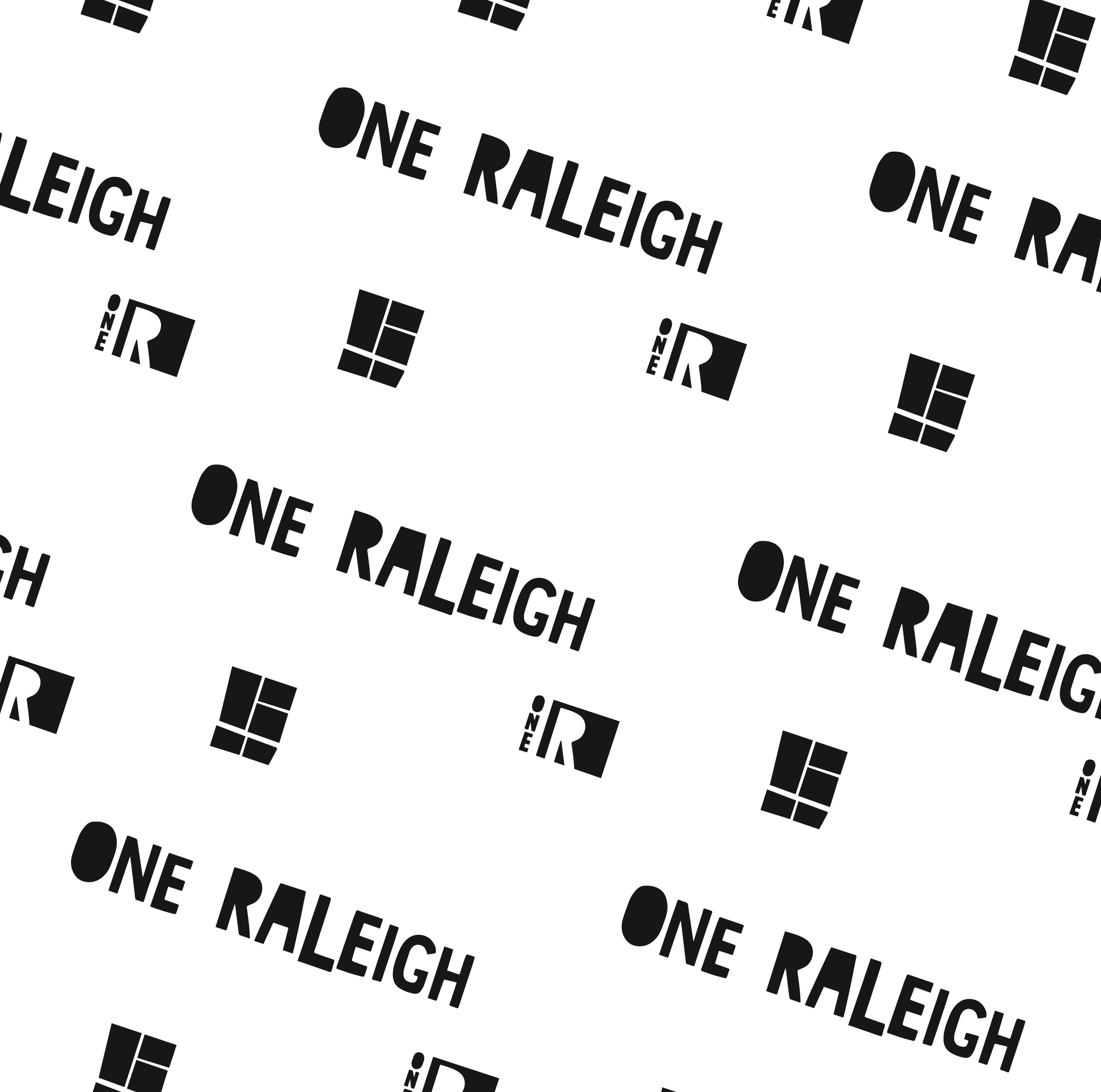 one-raleigh-pattern.png