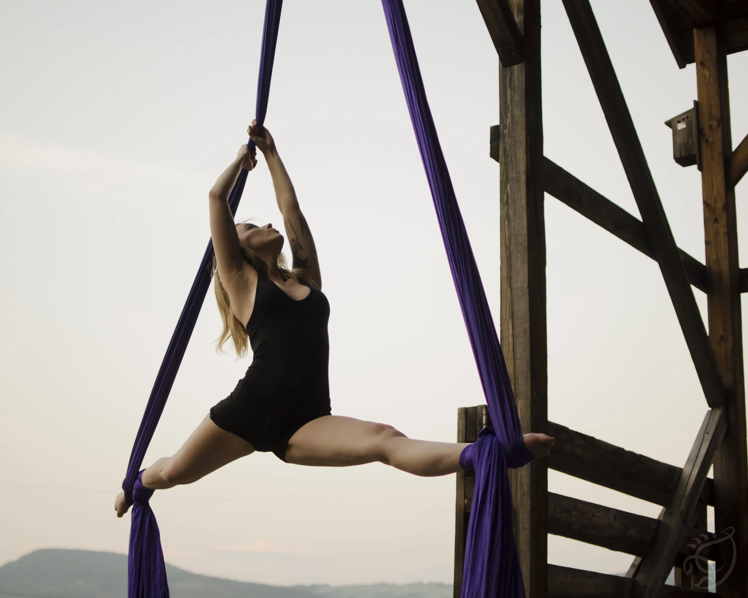 AERIAL SILKS