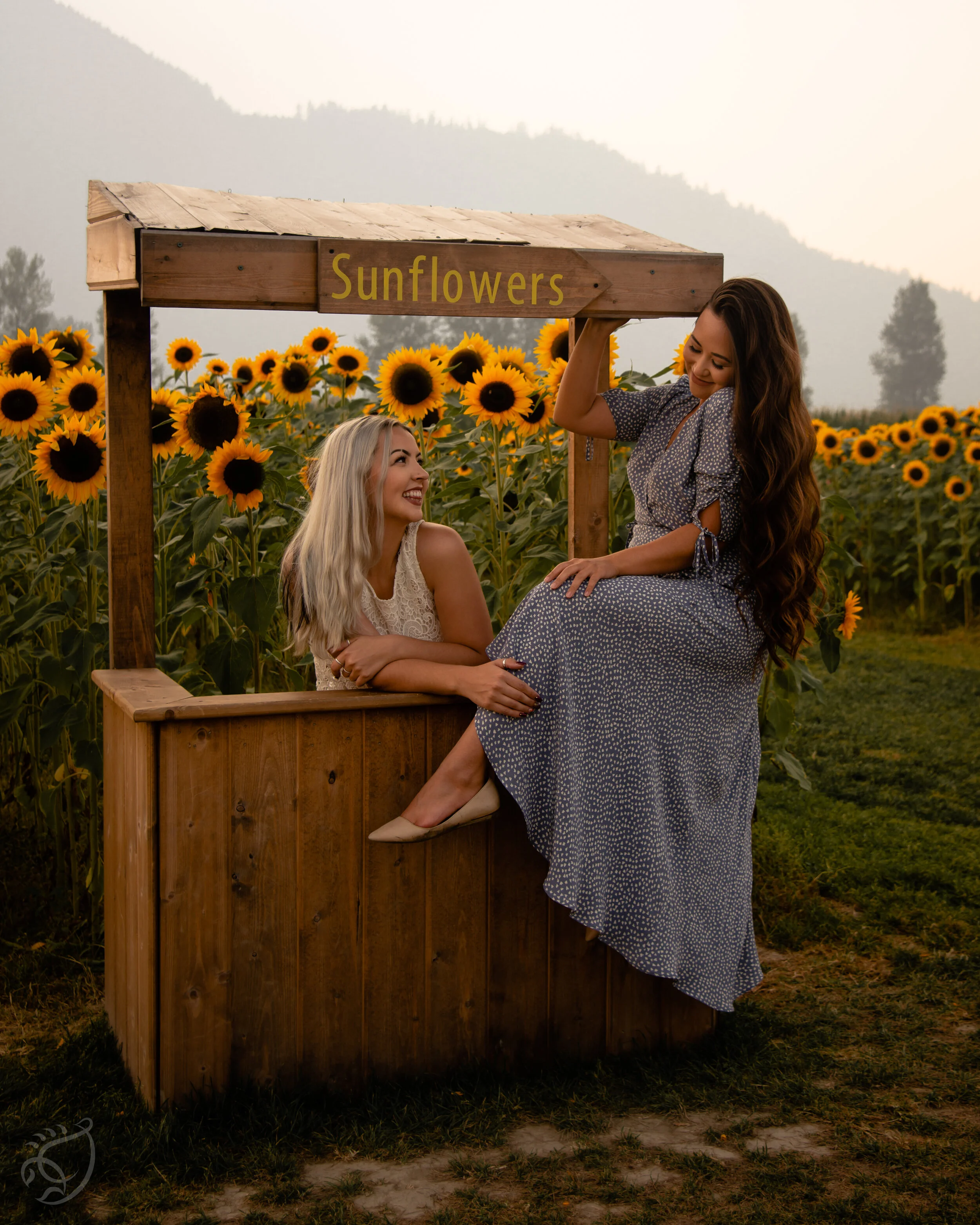 SMOKEY SUNFLOWERS
