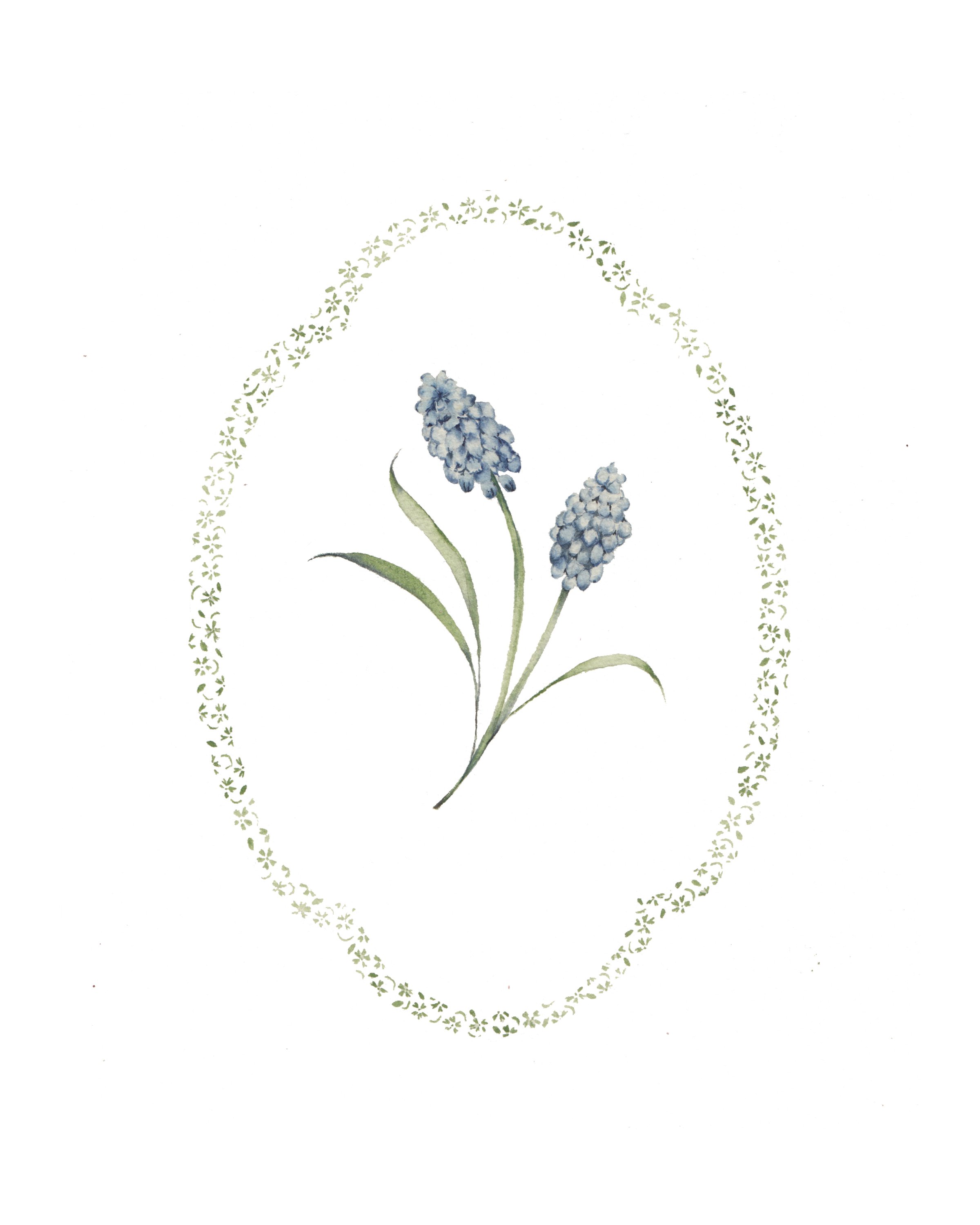 grapehyacinth.jpg