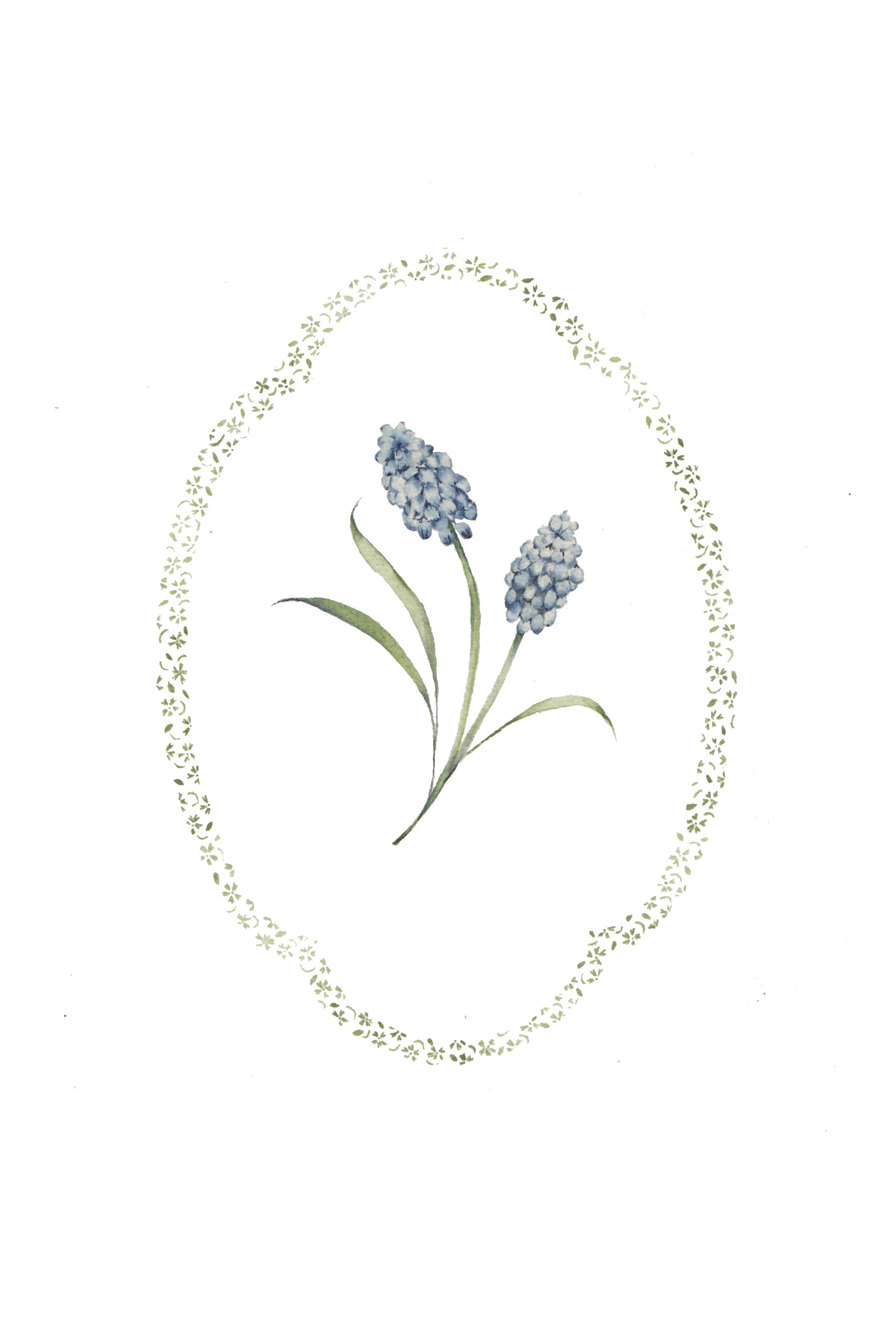 hyacinthtransparent.jpg