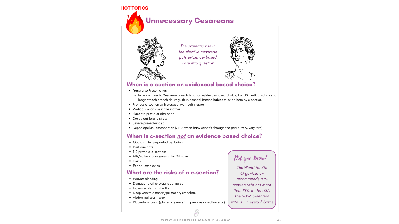 Birth with Meaning Digital Guide (Website)-7.png