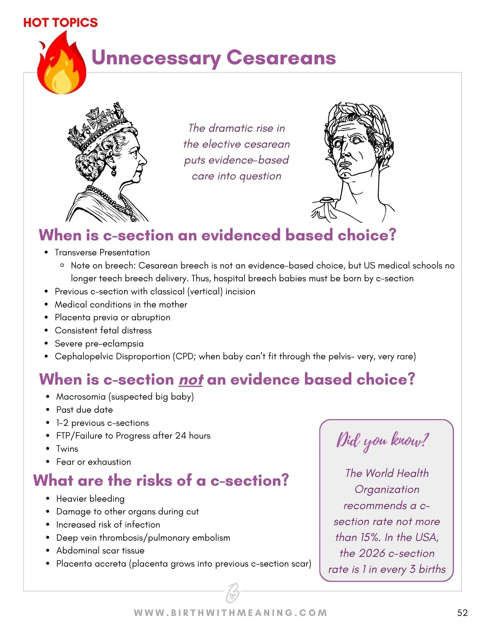 Birth with Meaning Digital Guide-4.jpg