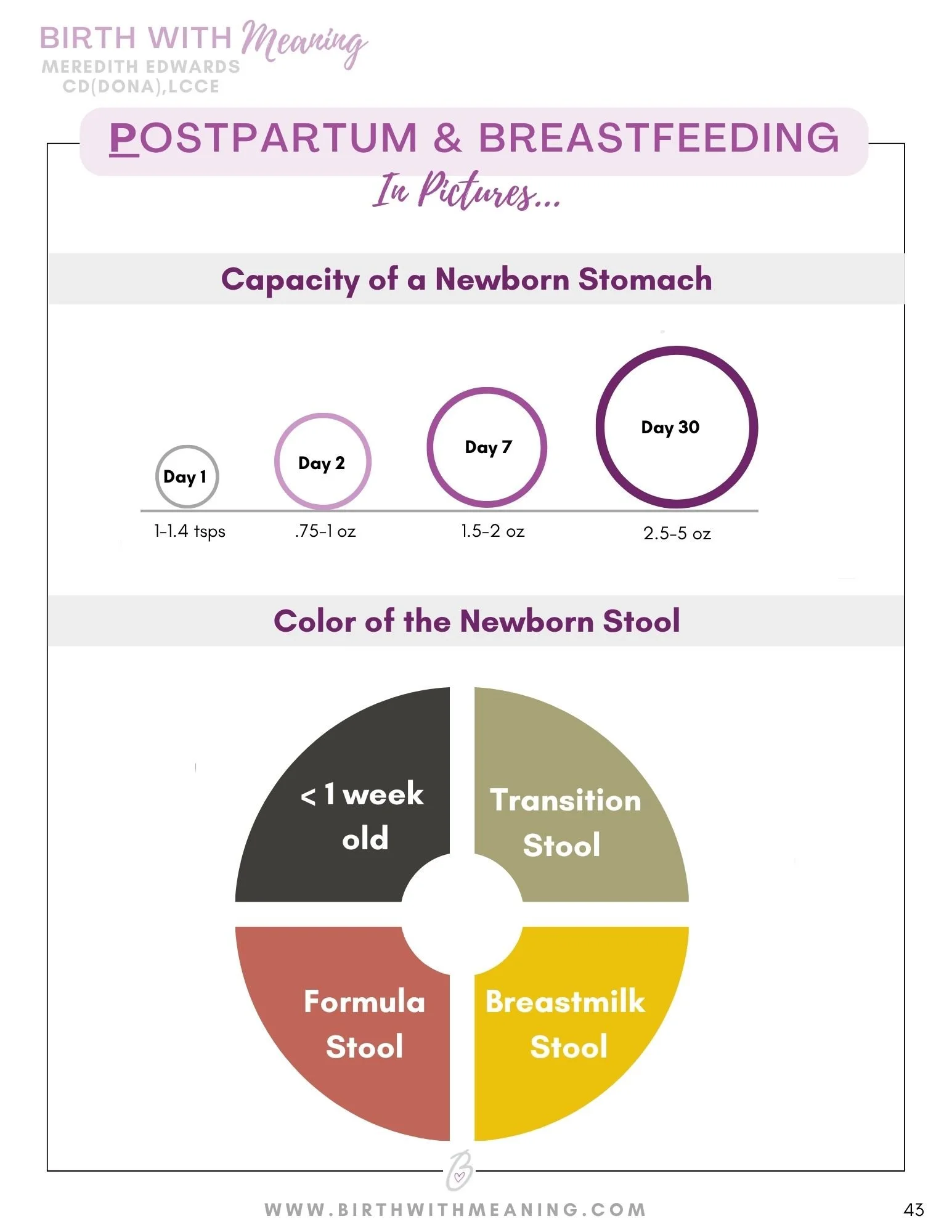 Birth with Meaning Digital Guide-3.jpg