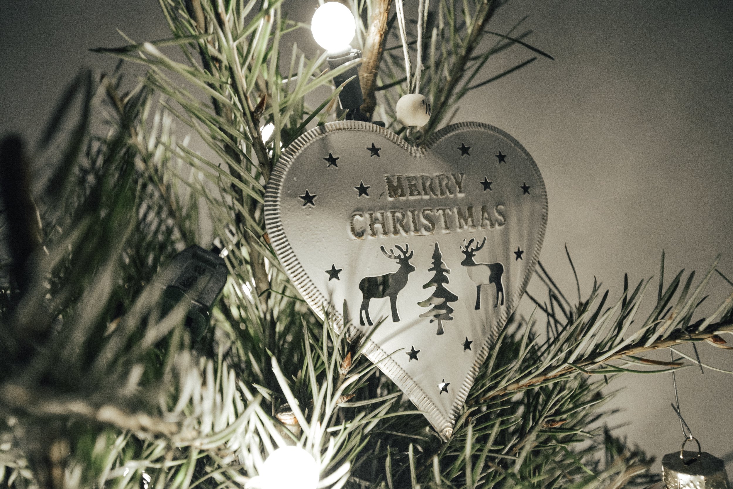 christmas-tree-decorating-11.JPG