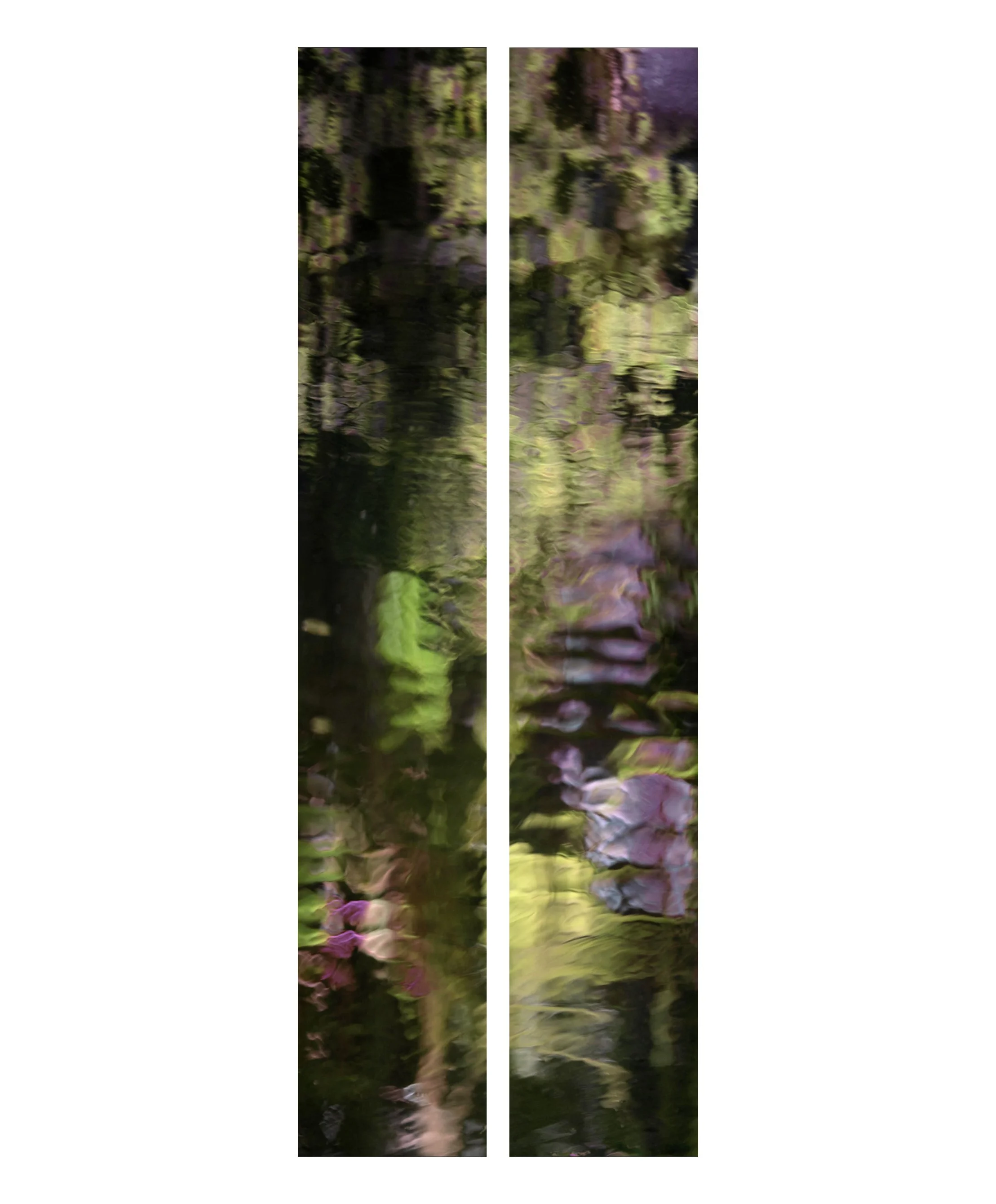 WInter garden.jpg