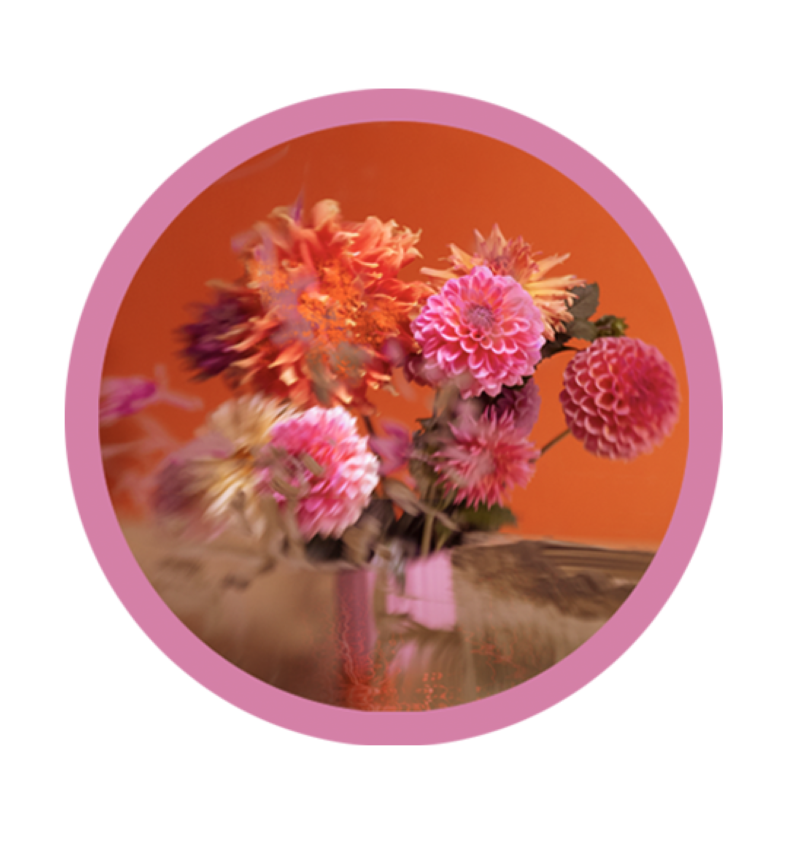 Screen Shot 2025-05-27 at 8.04.13 PM.png