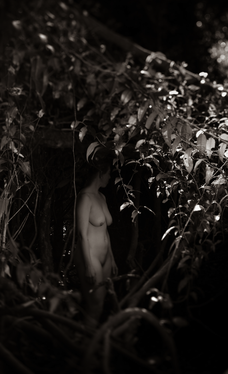 Screen Shot 2024-08-13 at 1.36.25 PM.png