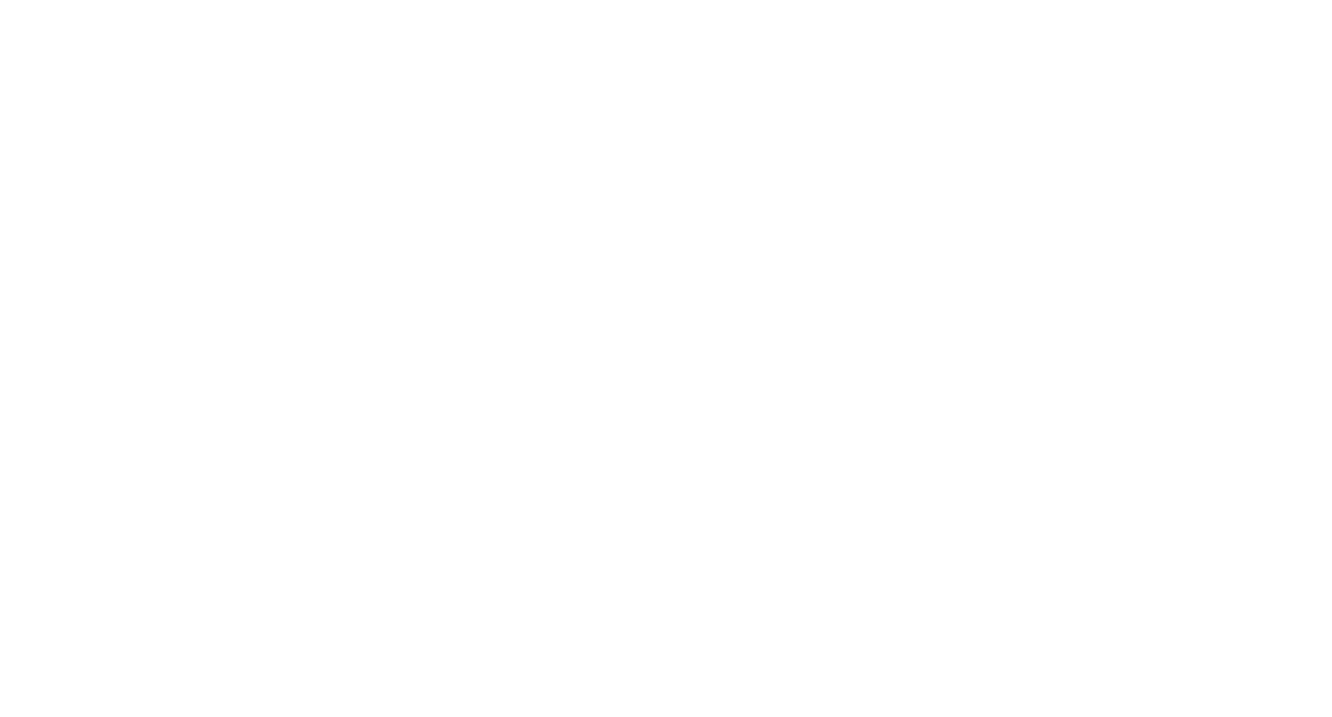 SHAWИEE HILLS WORKSHOP