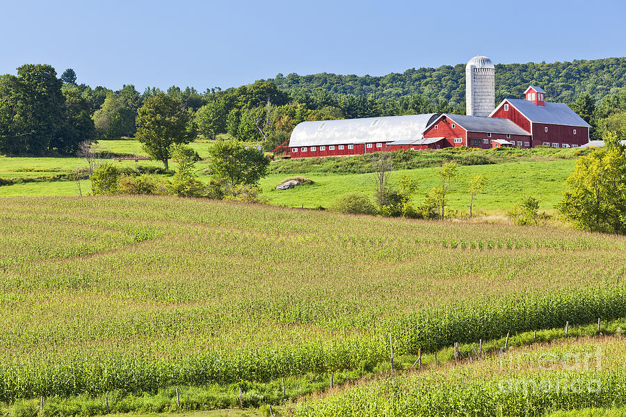 vermont-farm-landscape-alan-l-graham.jpg