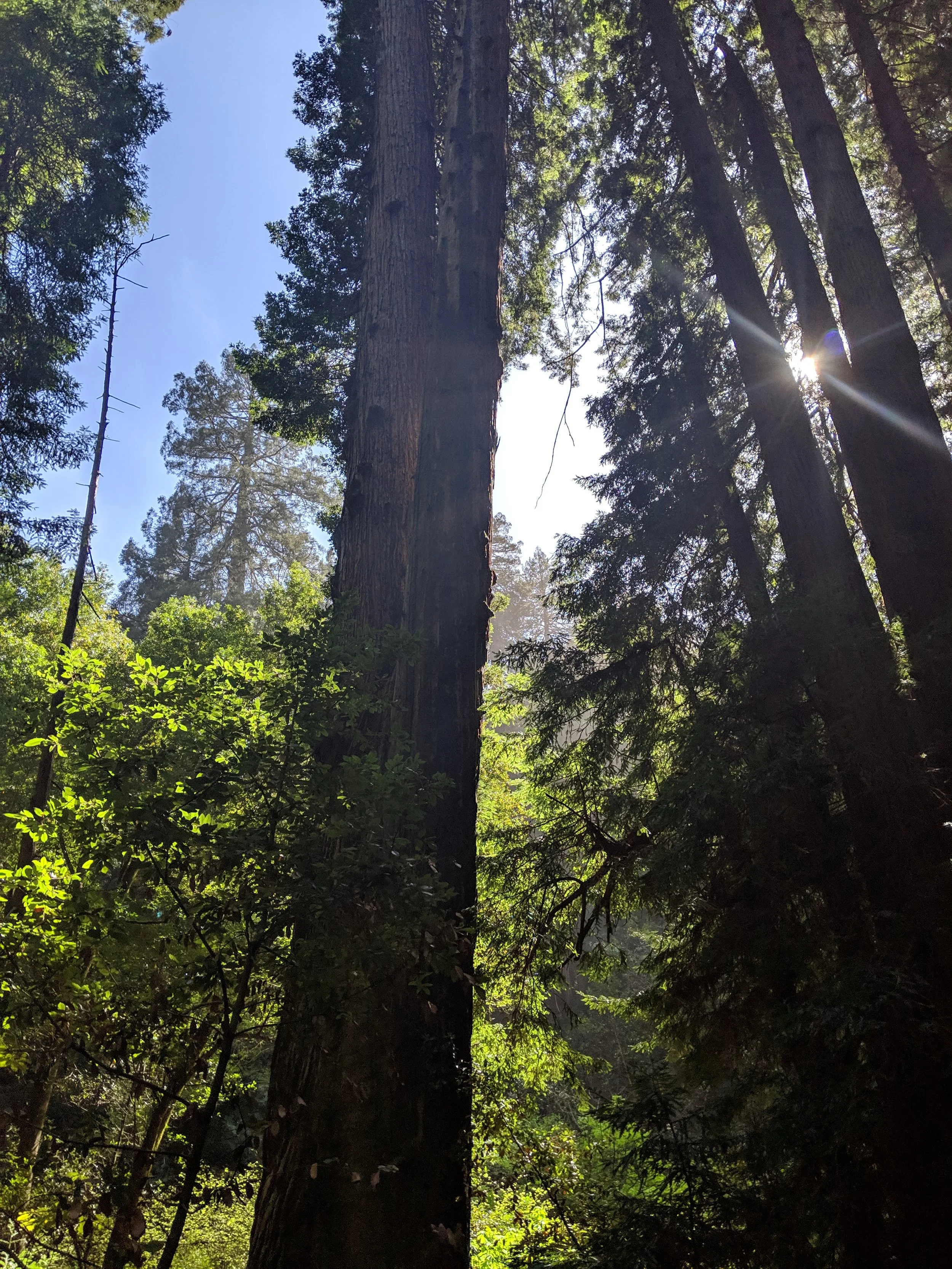 Unexpected Awe