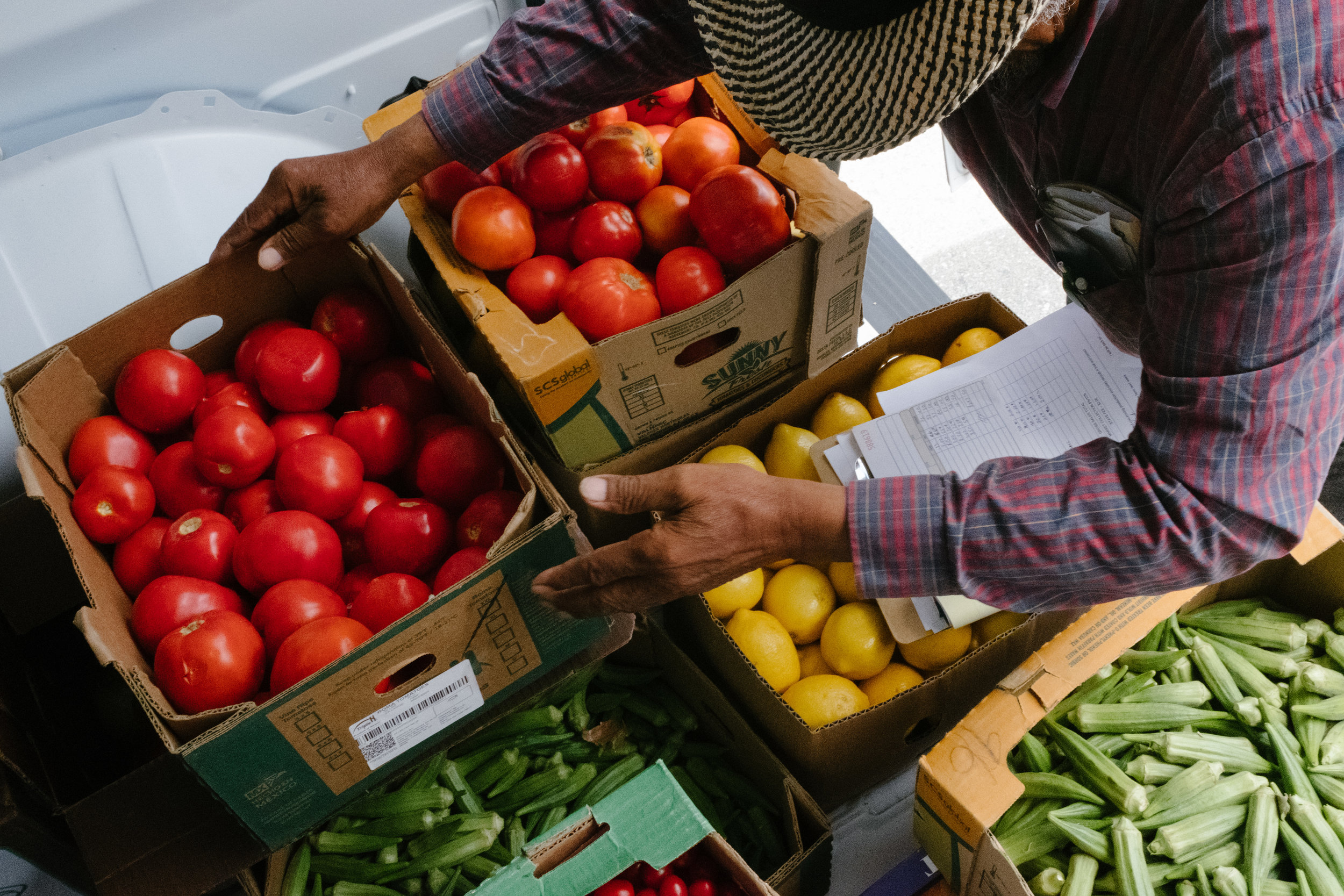 Organic Fuji Apple — Mandela Grocery Cooperative