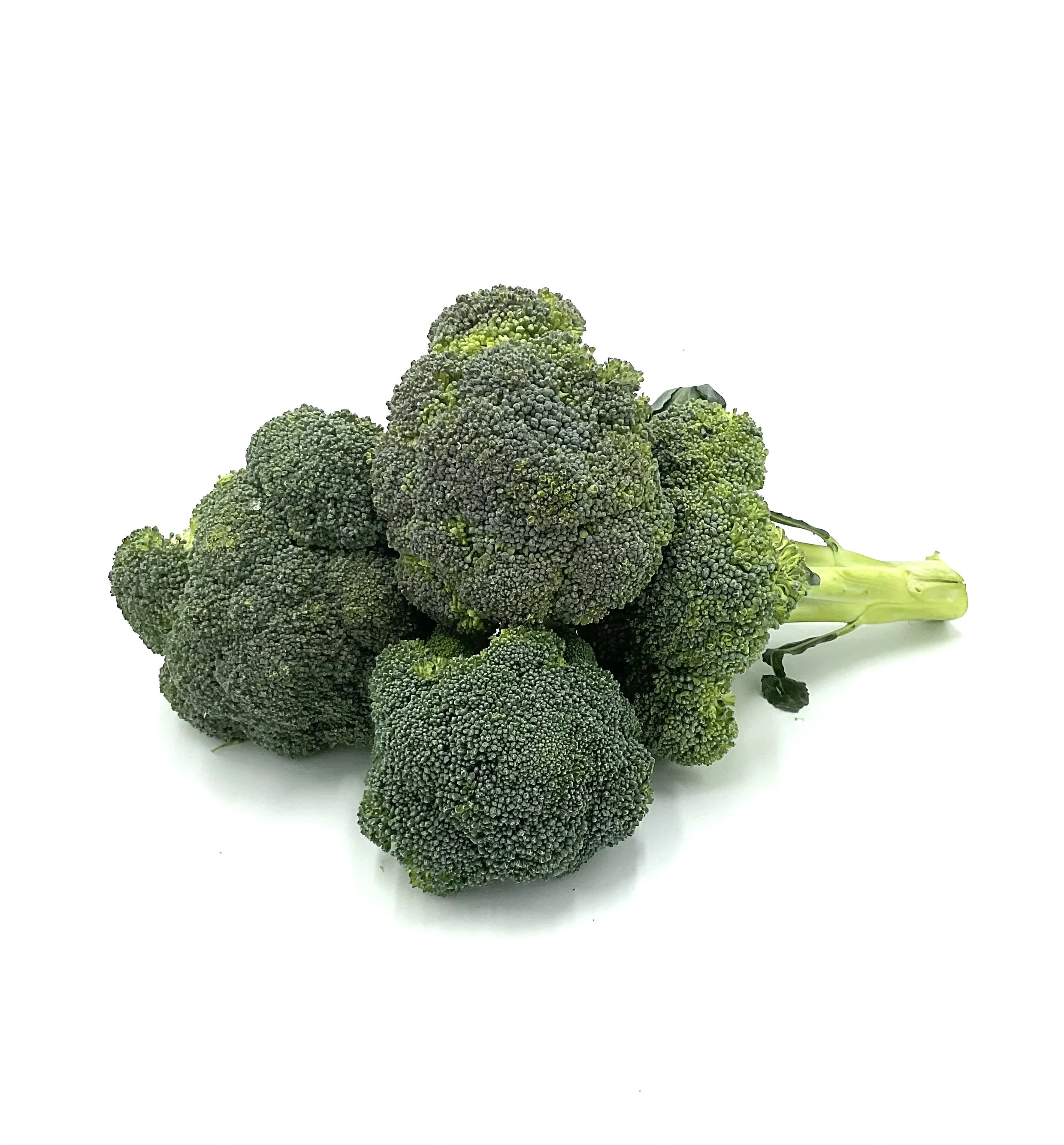 Organic Broccoli