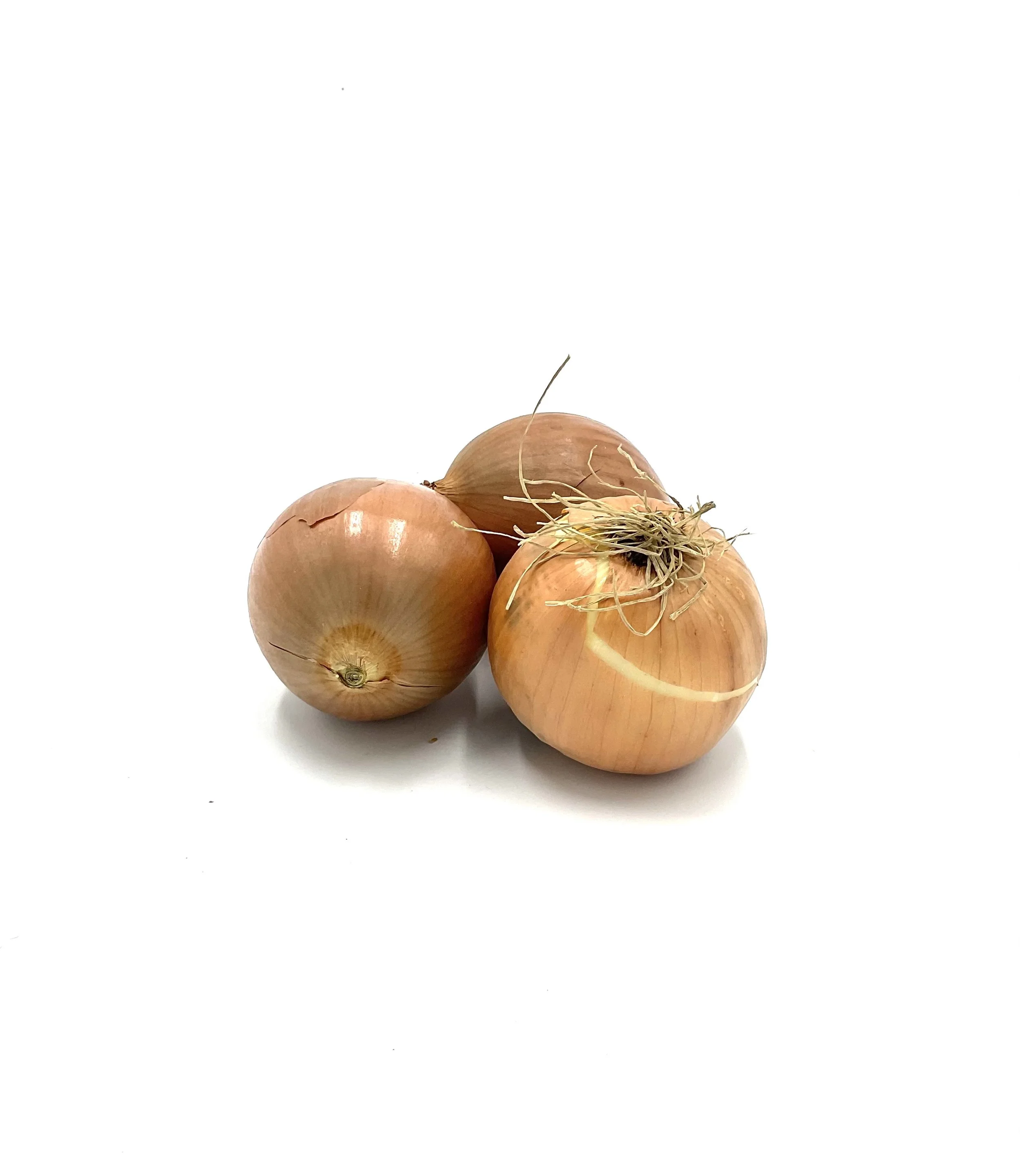 Organic Yellow Onion