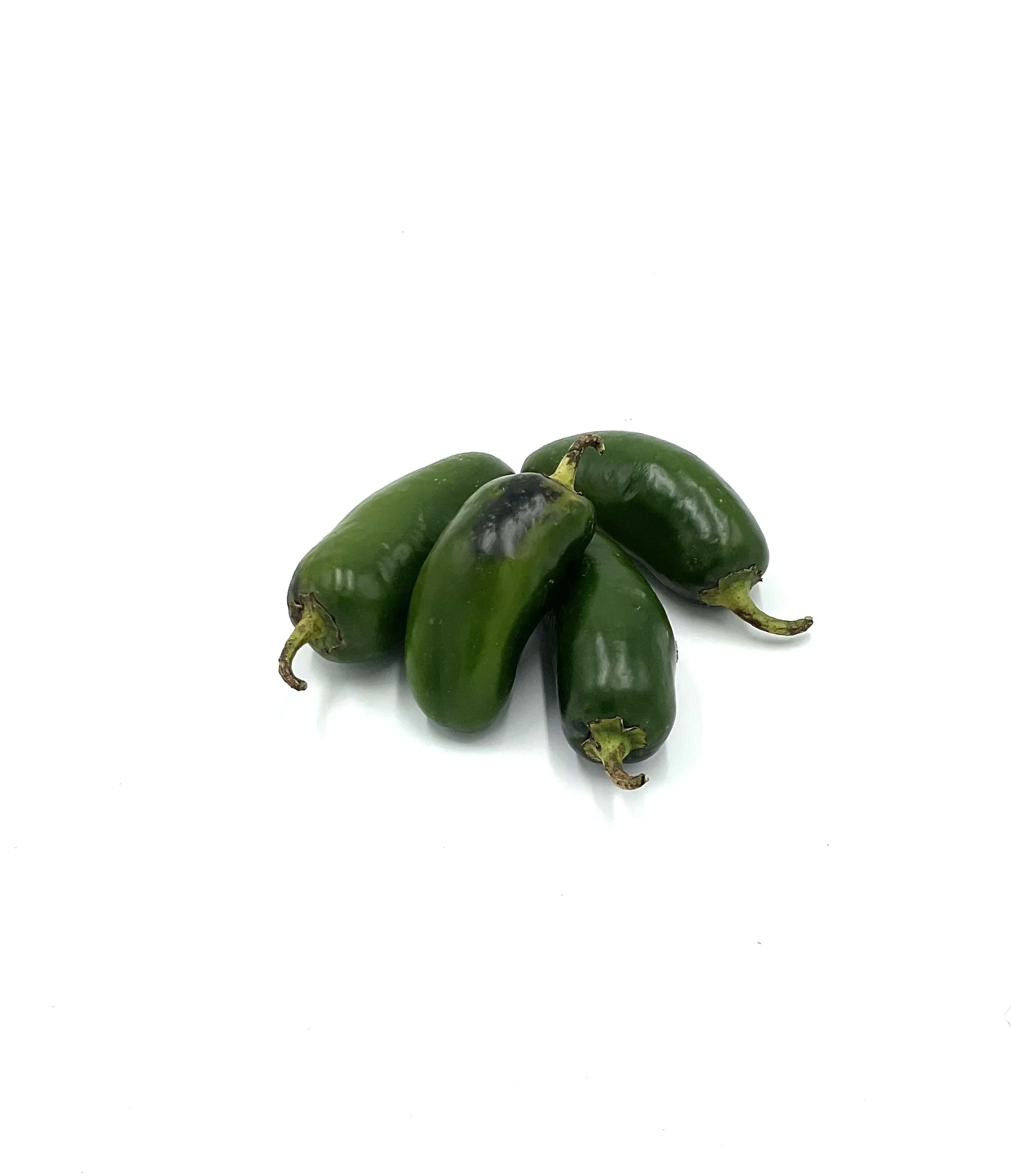 Organic Jalapeno Pepper