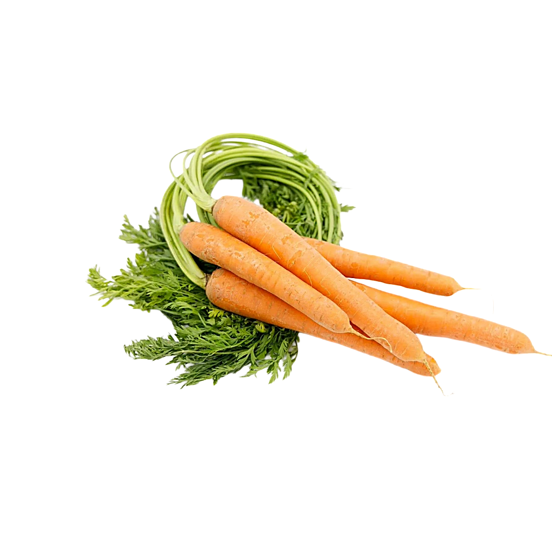 Organic Carrot