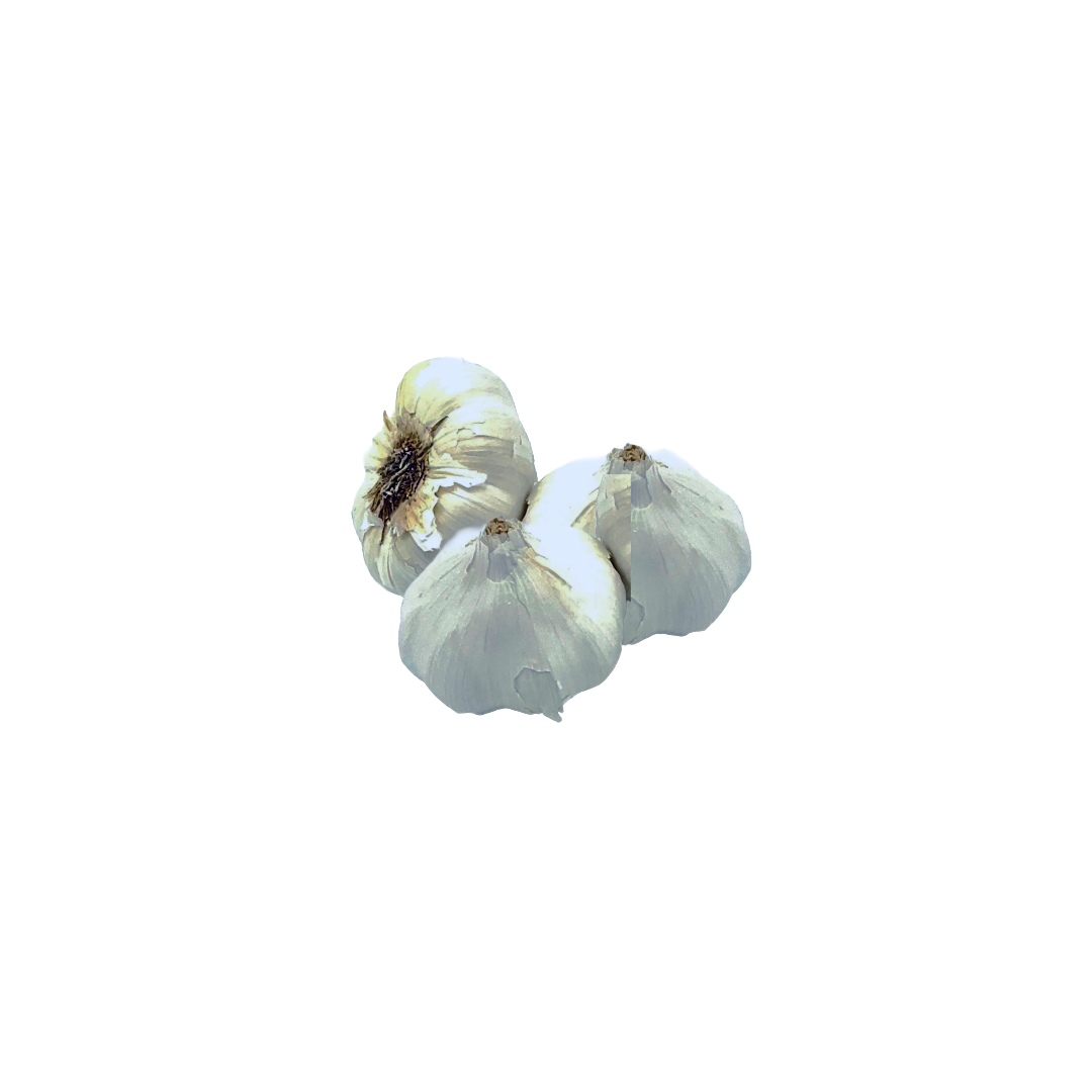 Organic Garlic