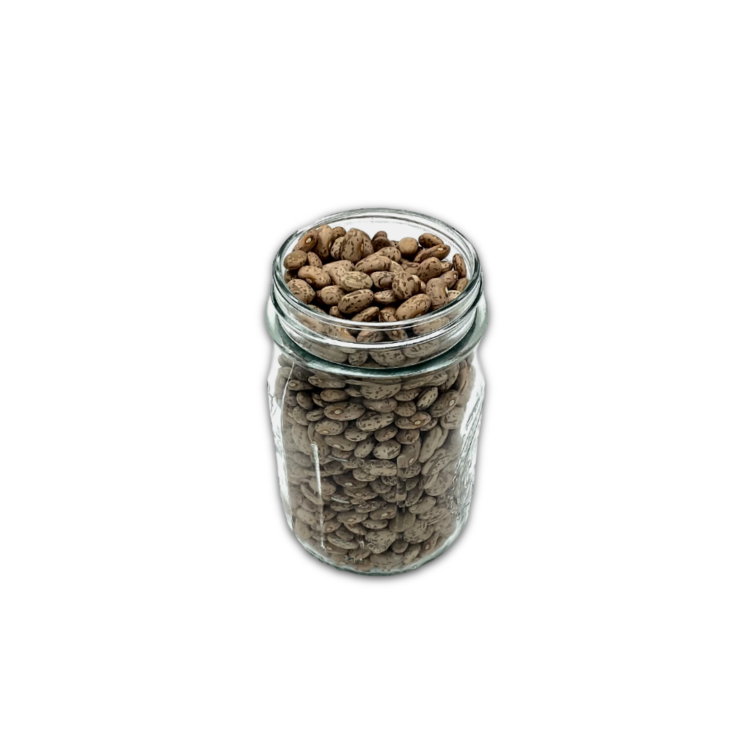 Organic Pinto Beans Bulk
