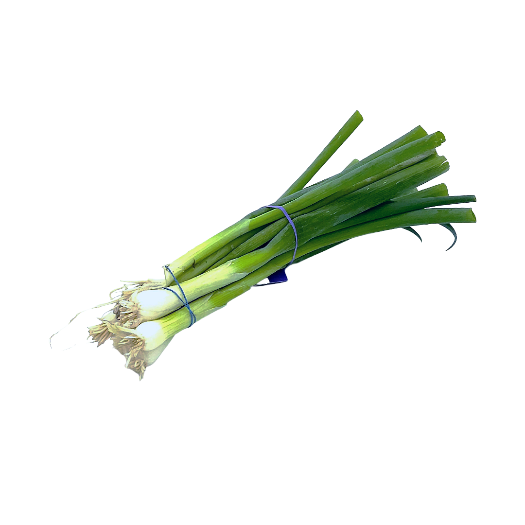 Organic Green Onions/Scallions