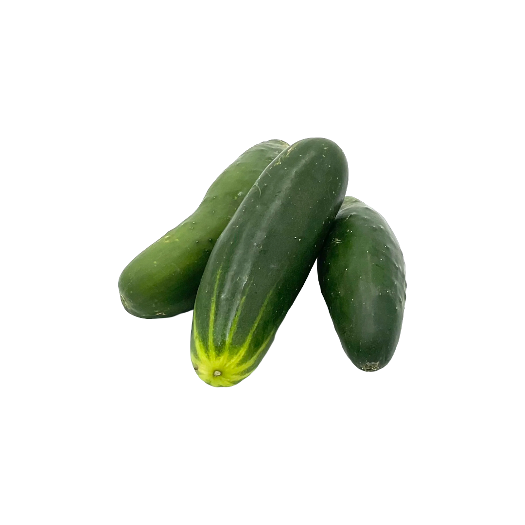 Organic Cucumber