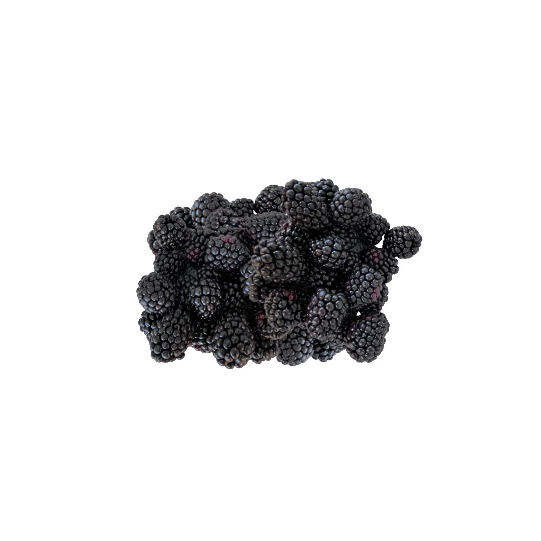 Organic Blackberries