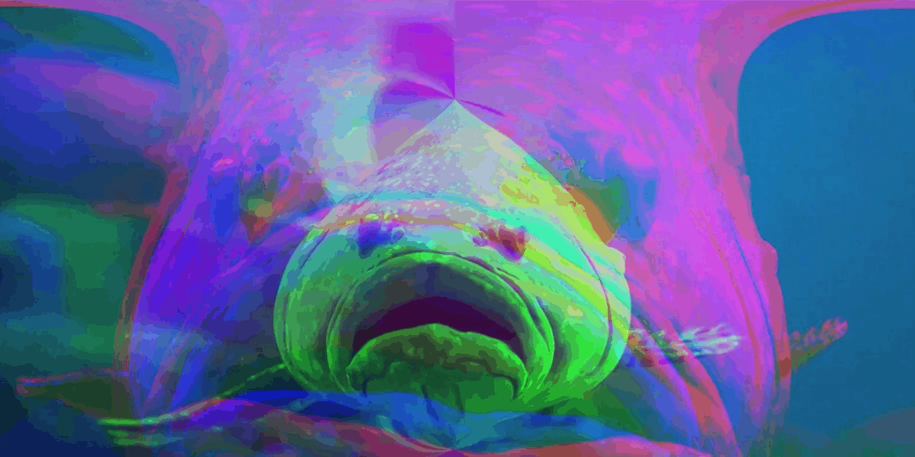11legal-sea-foods-420-hed-page.png