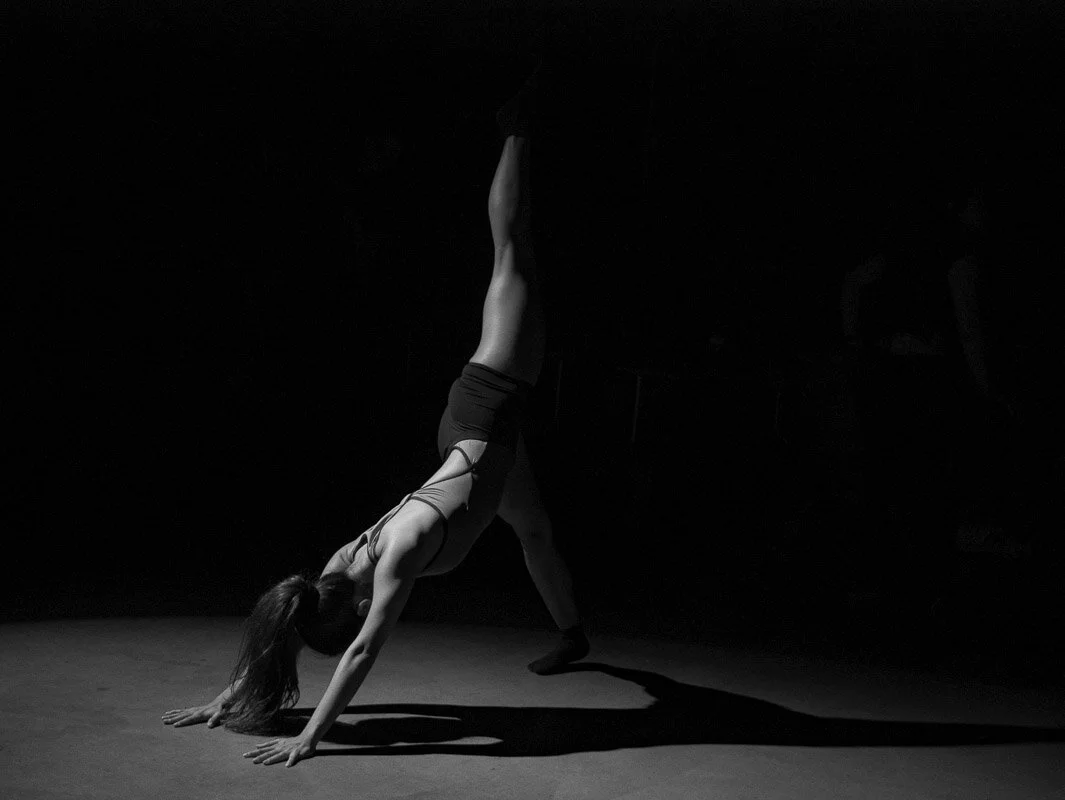 P1170751.jpg