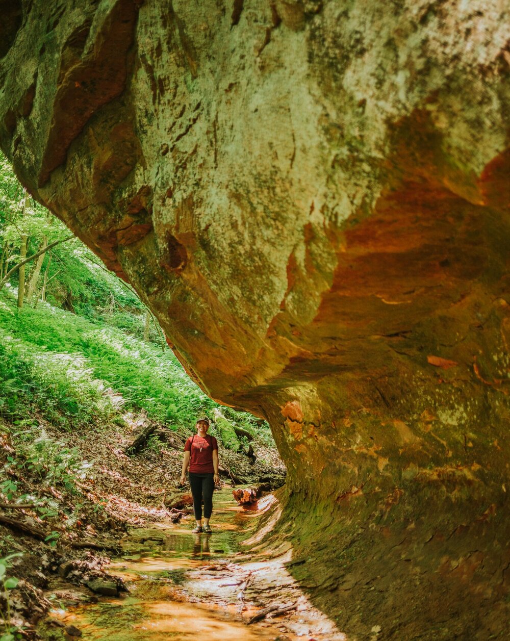 What We Do Wander Women Midwest what-we-do-wander-women-midwest