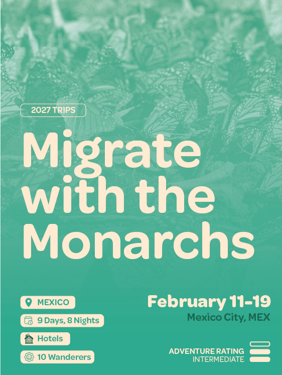 Migrate with the Monarchs