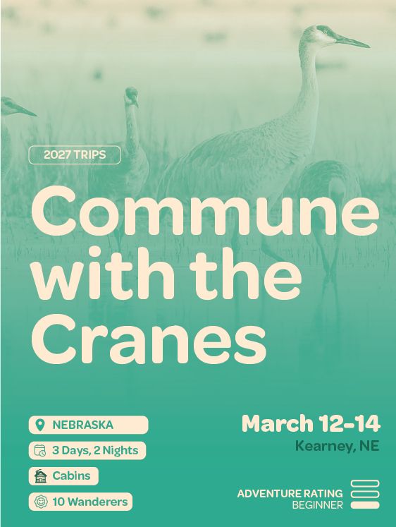 Commune with the Cranes
