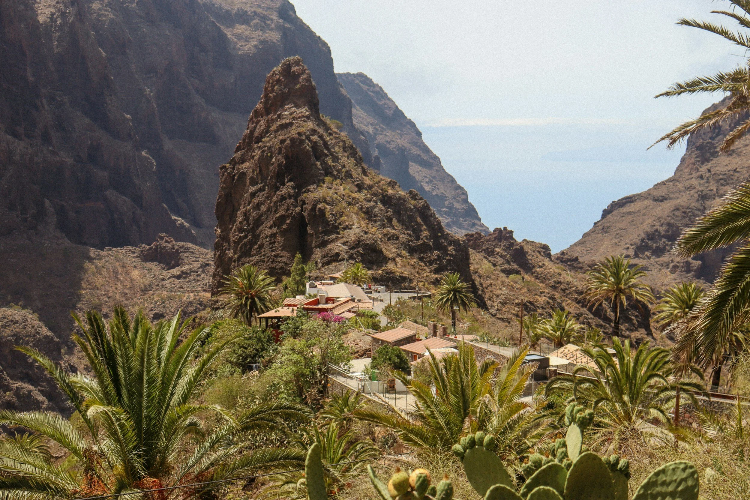 unsplash-image-pf-Elso3qFA.jpg