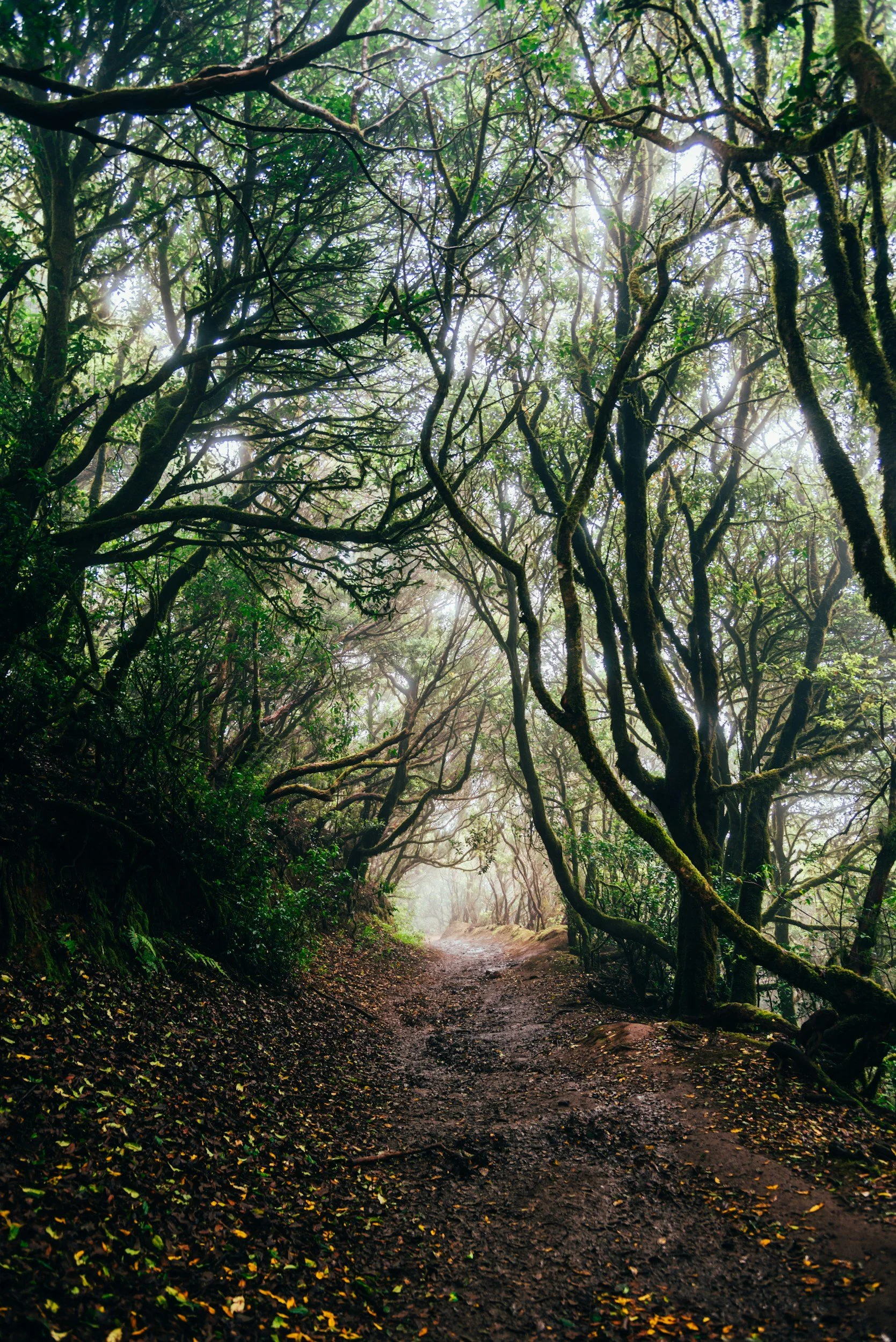 unsplash-image-Xhf_zqepKkc.jpg
