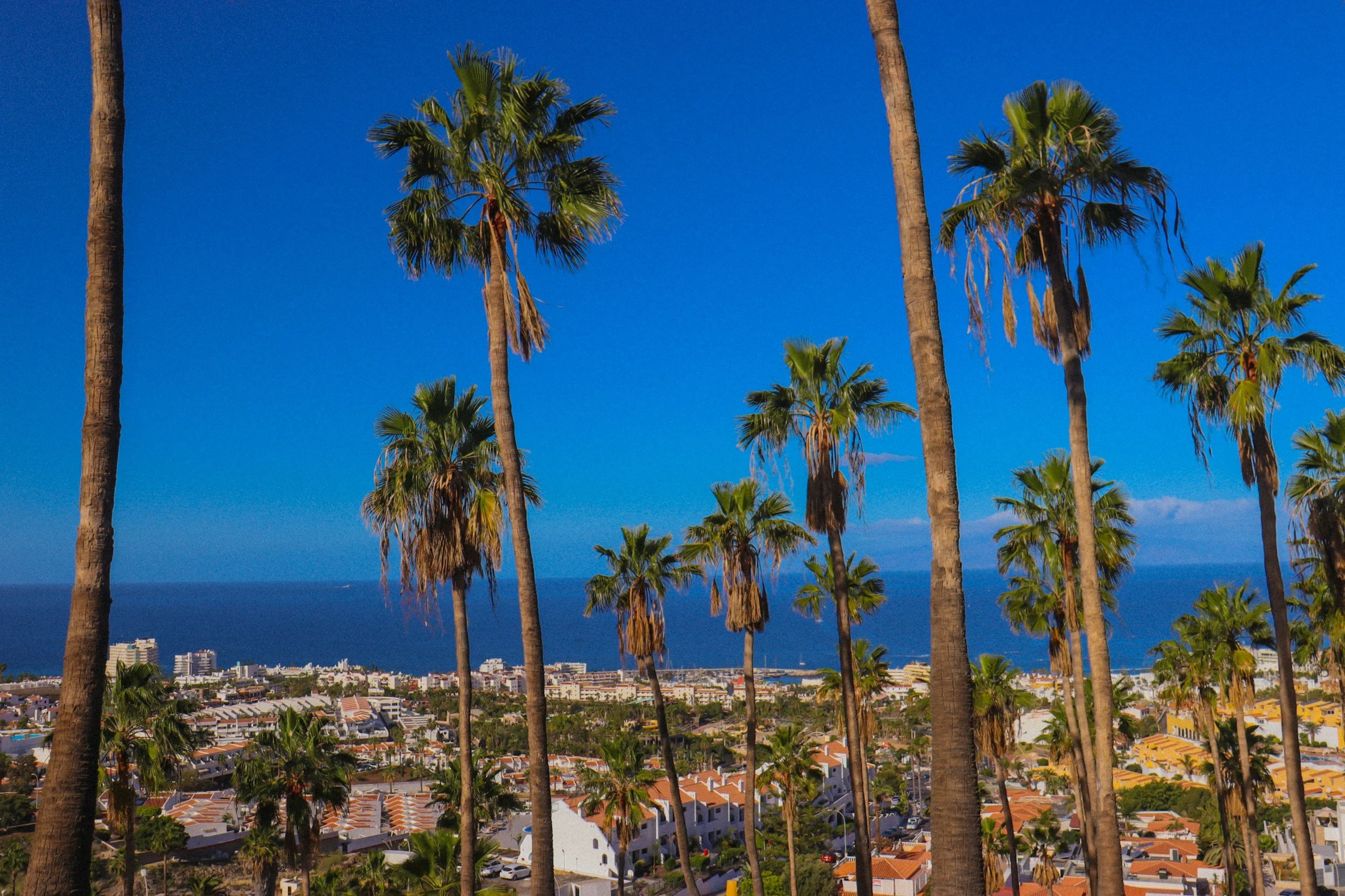 unsplash-image-lqCBIaJXnz8.jpg