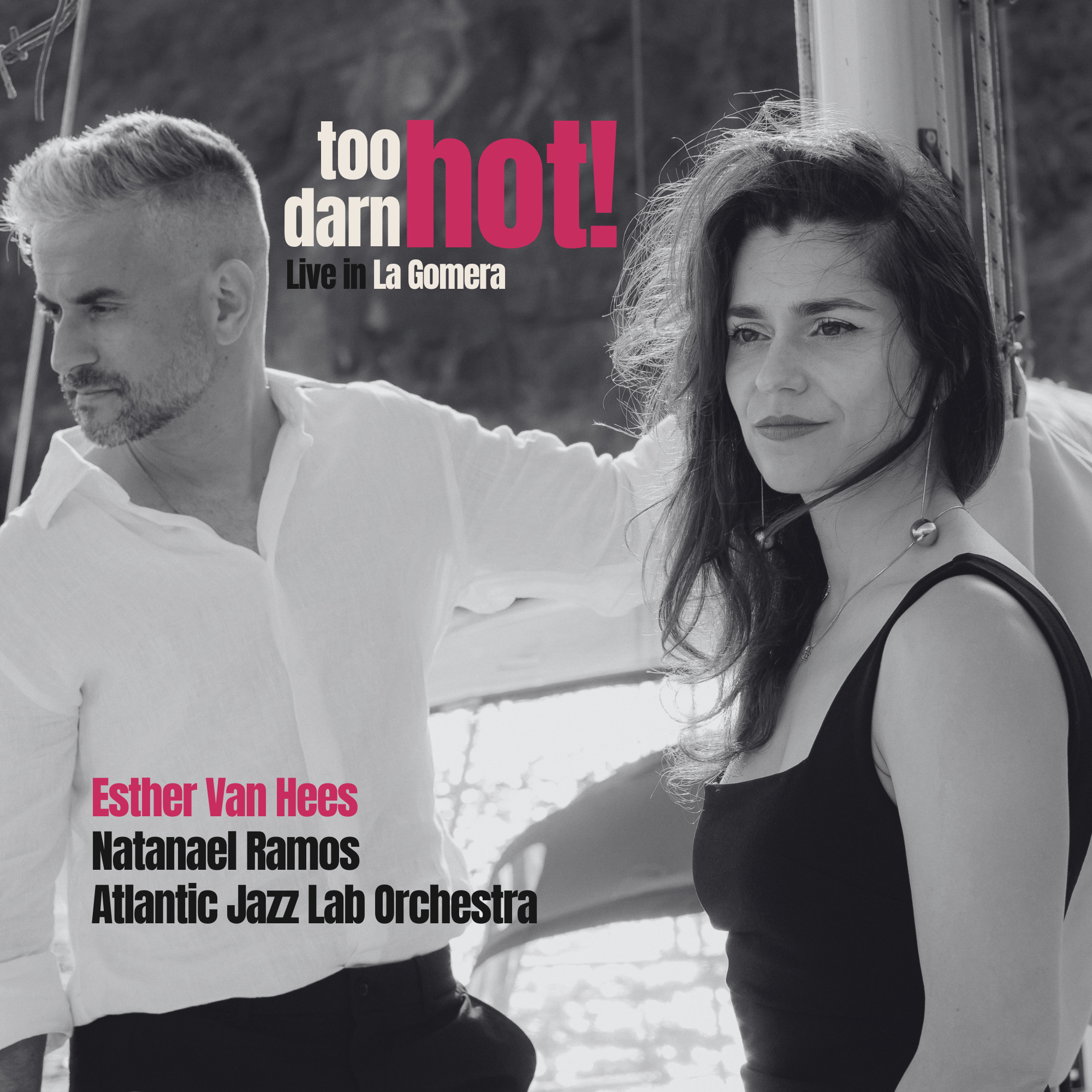 Too Darn Hot! cover v4.png