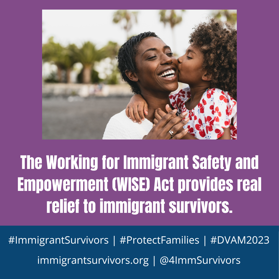WISE — Alliance For Immigrant Survivors