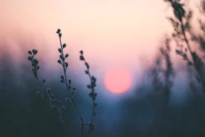 SUNSET.jpeg