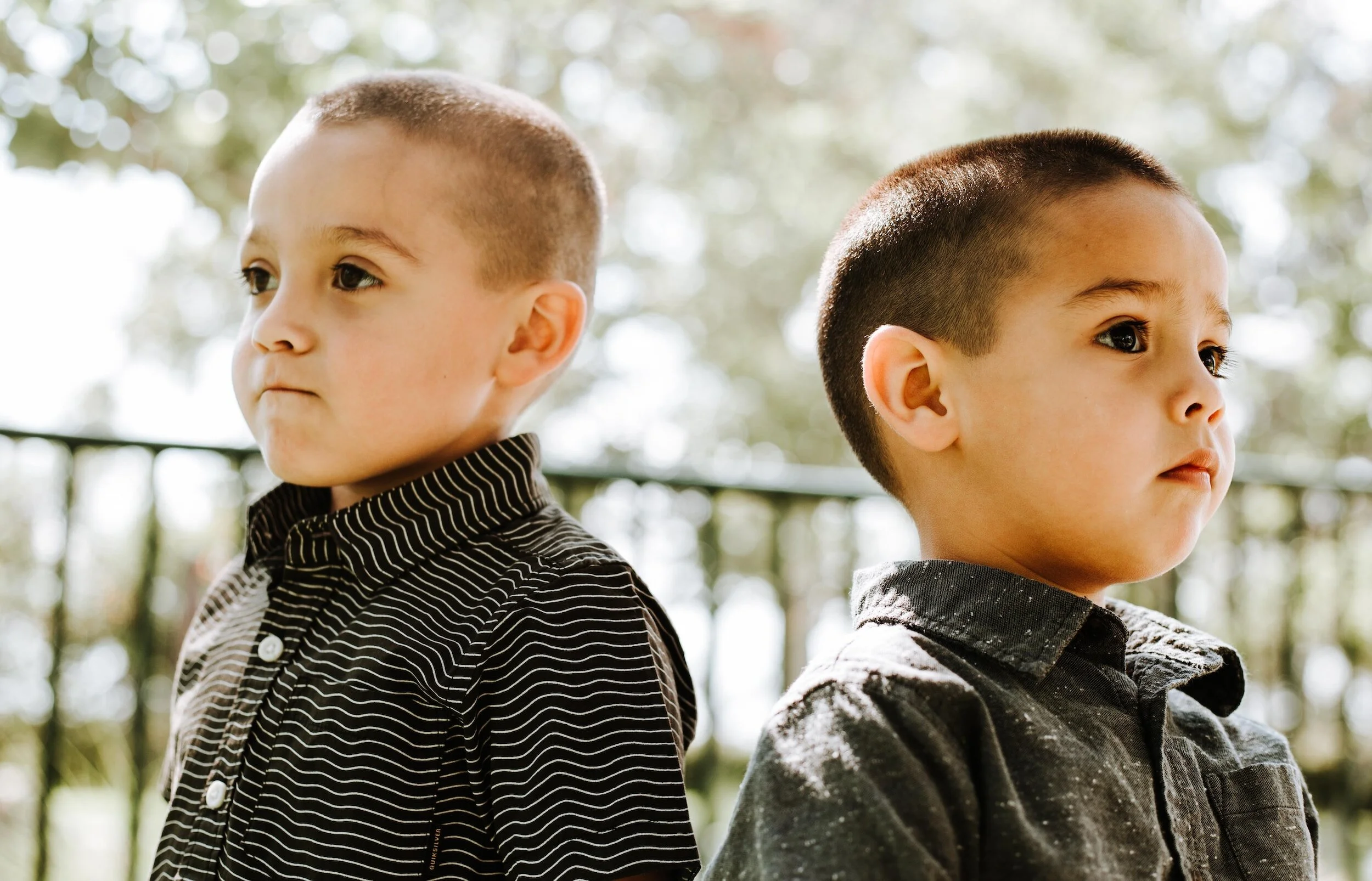 Navigating Sibling Rivalry