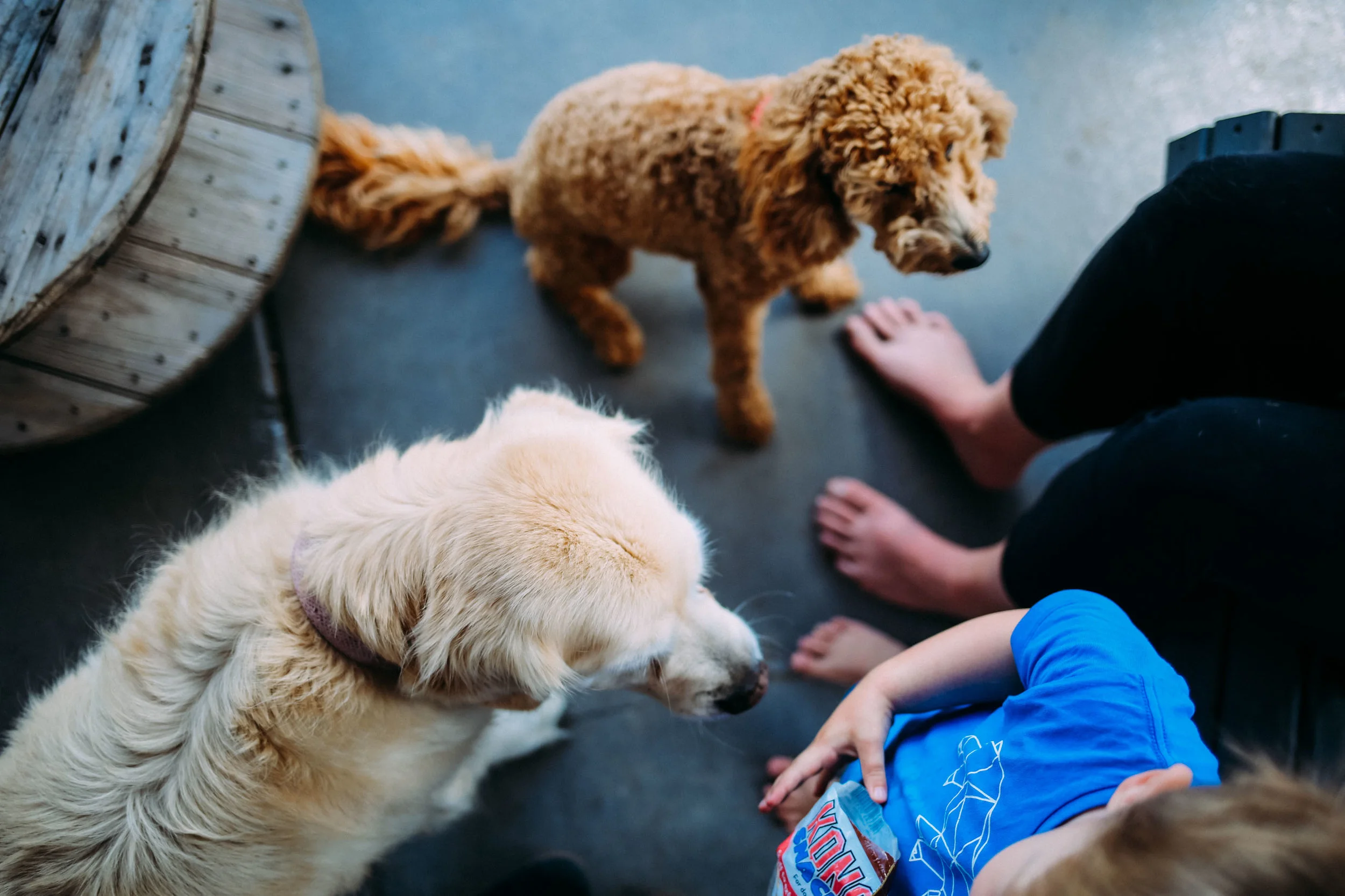 DuchessAll Photos - 27 of 76.jpg