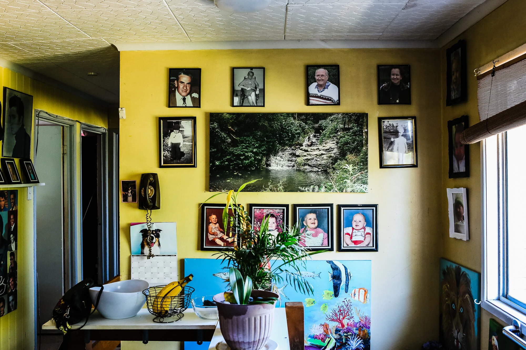 The Untitled Family stories