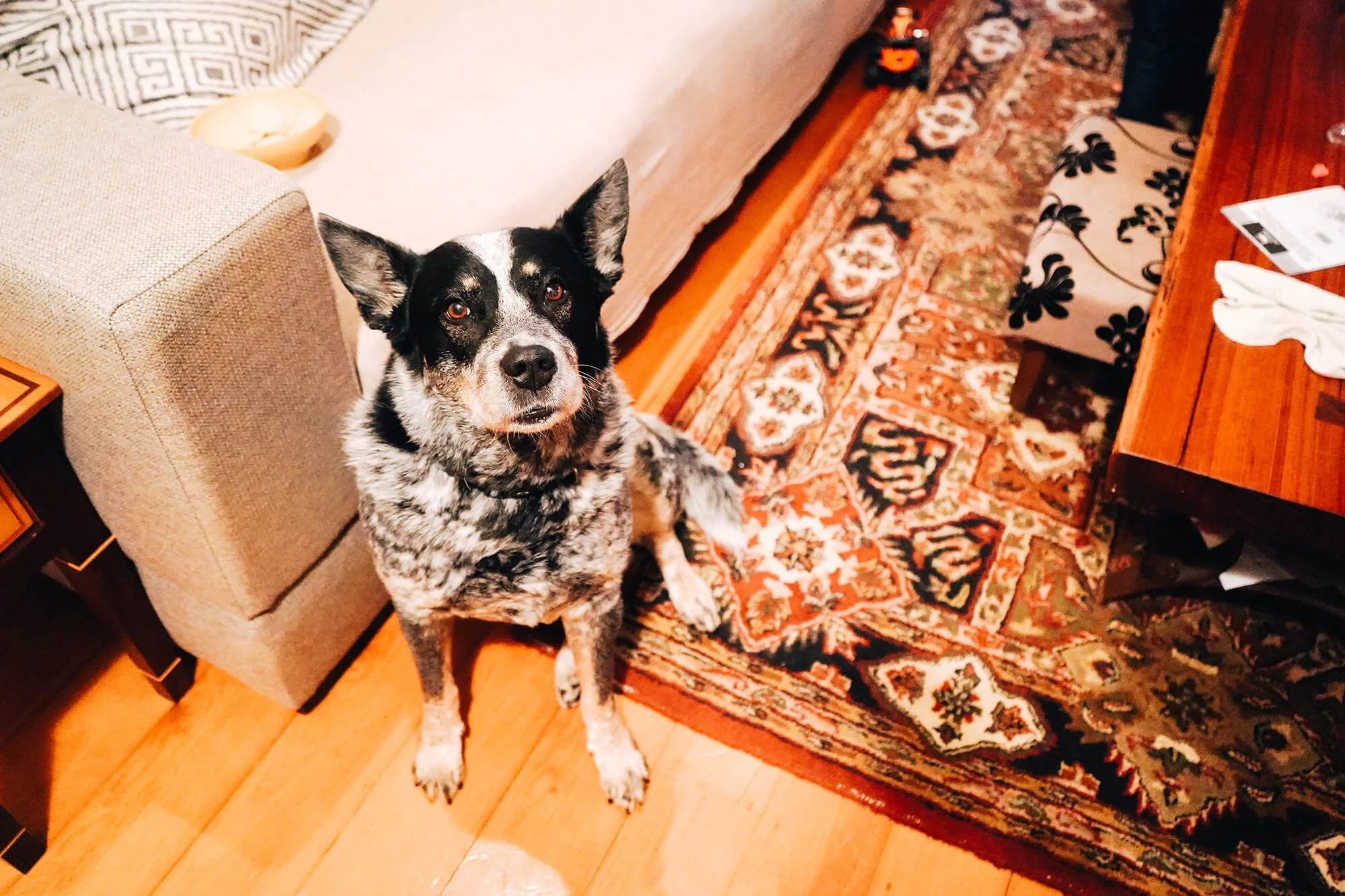 Ruby and Raddish_Business Other_44.jpg