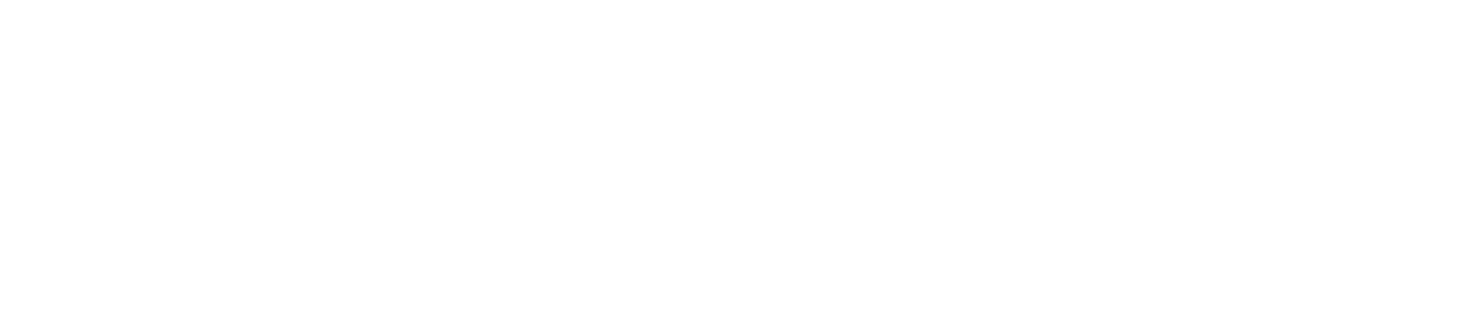 Skysthelimit.org nonprofit logo in white with transparent background
