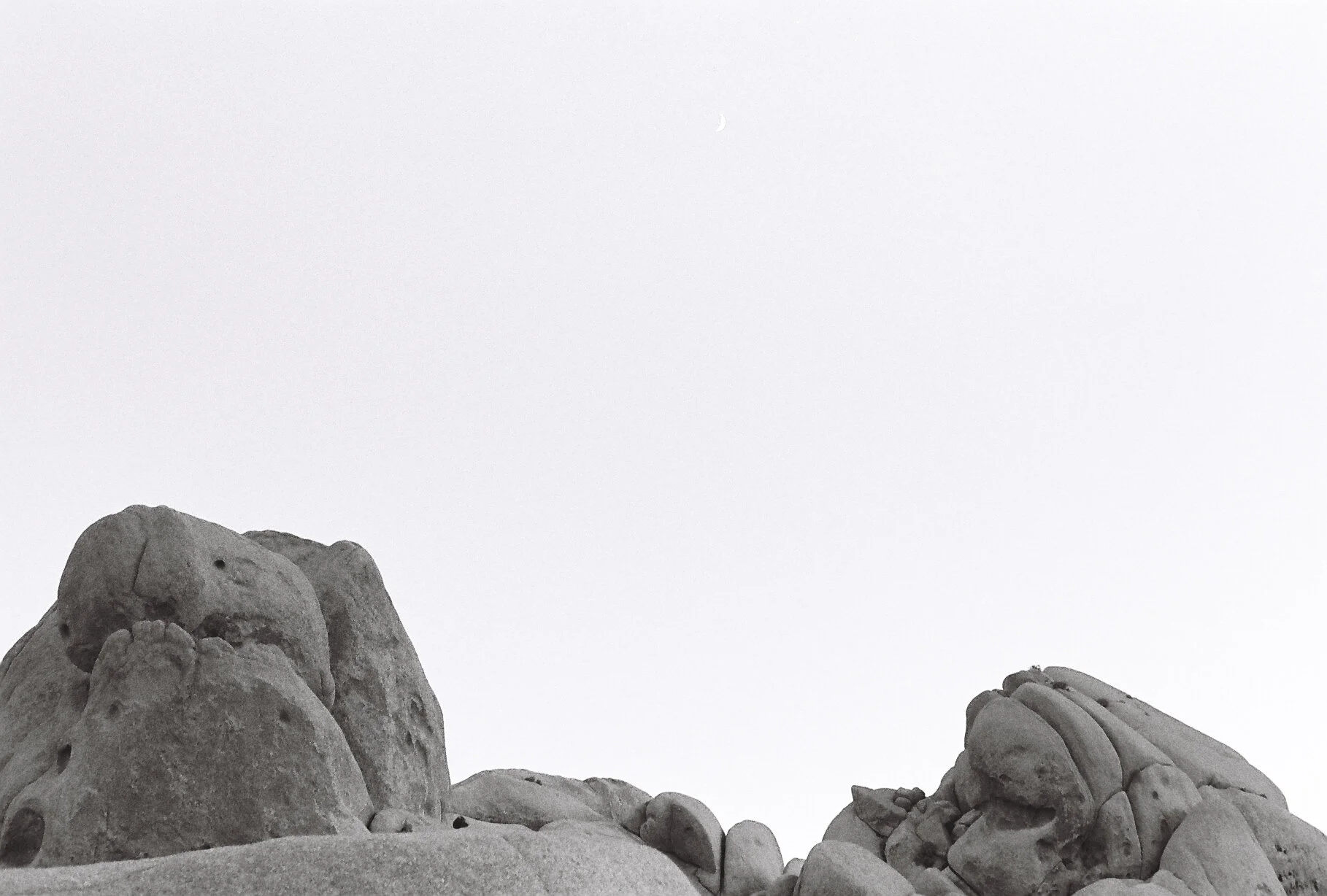 Joshua Tree FIlm-199.JPG