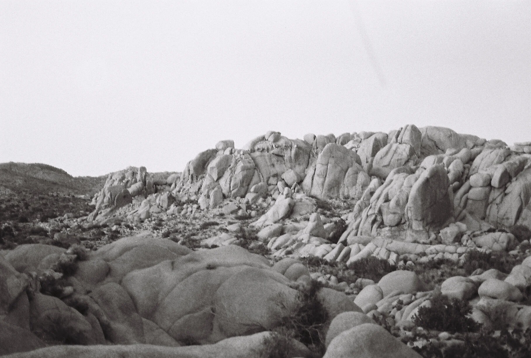 Joshua Tree FIlm-194.JPG