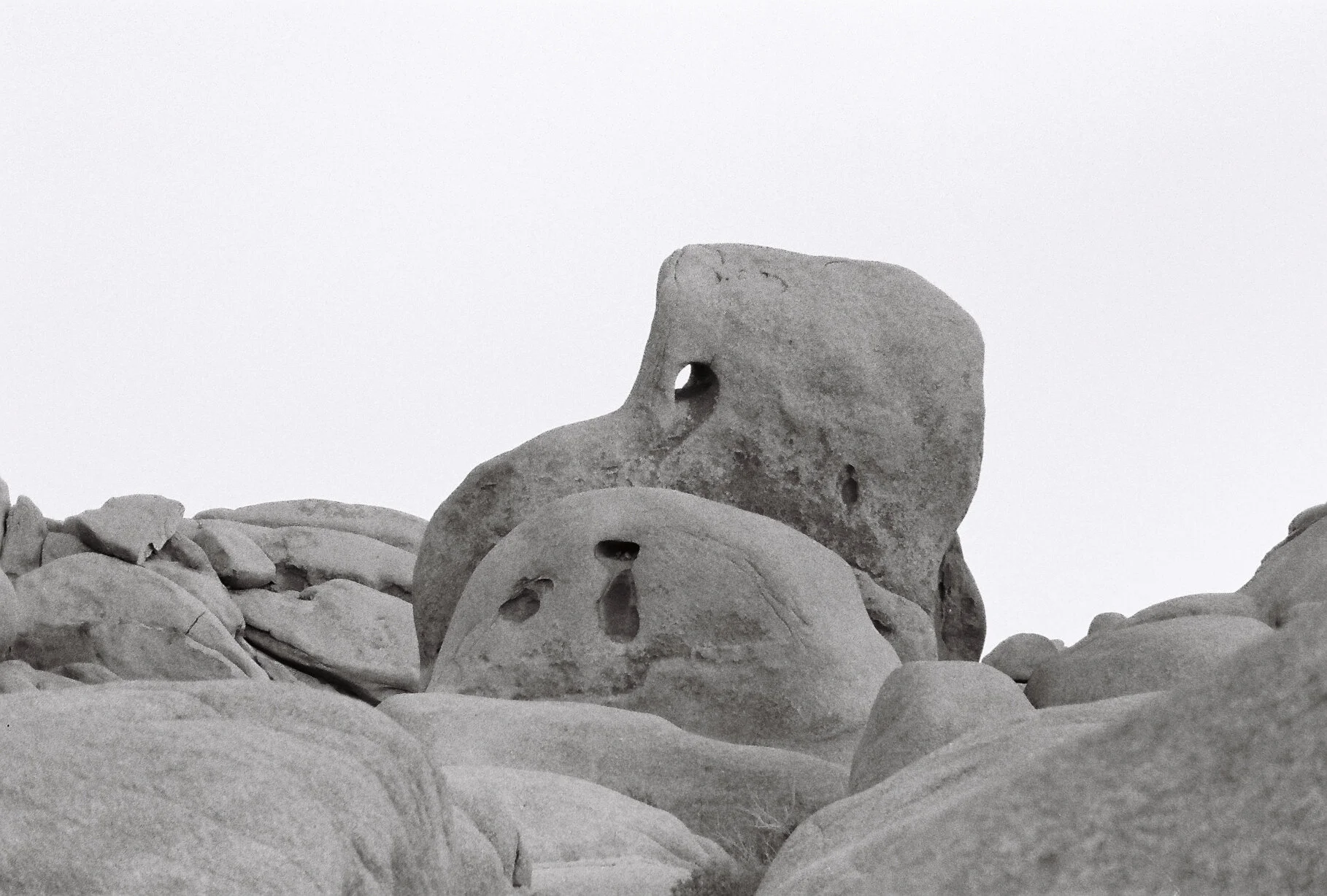 Joshua Tree FIlm-200.JPG