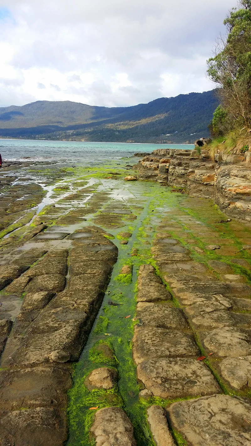 On tour with Wellspring, Tessellated Pavement, Tasman Peninsula