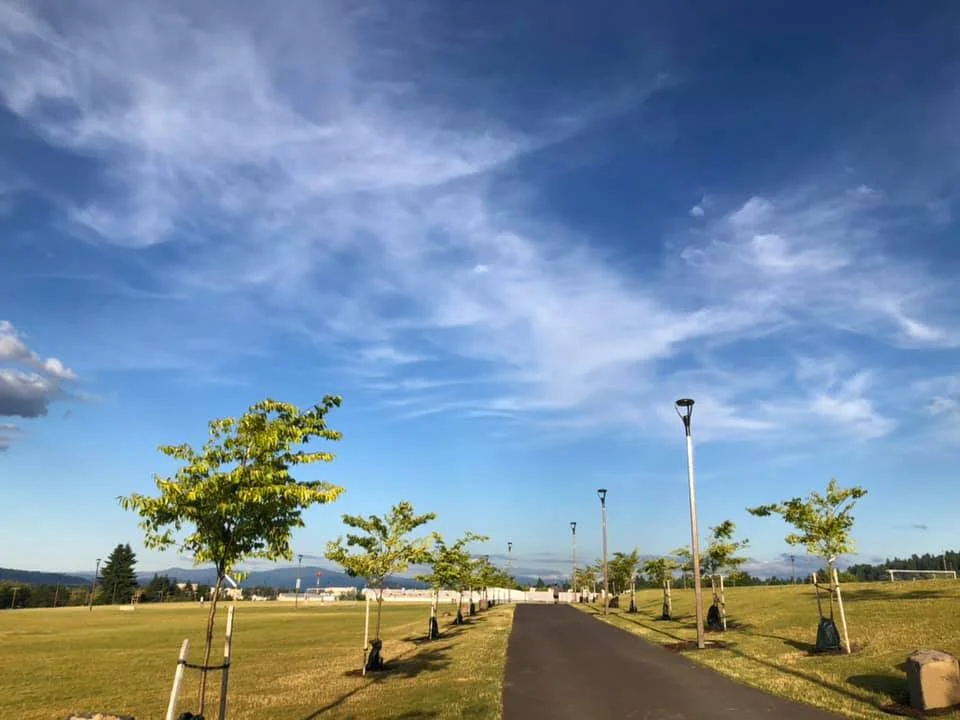 Intercambio Gathering at Latino Festival: music and movie - Coco!